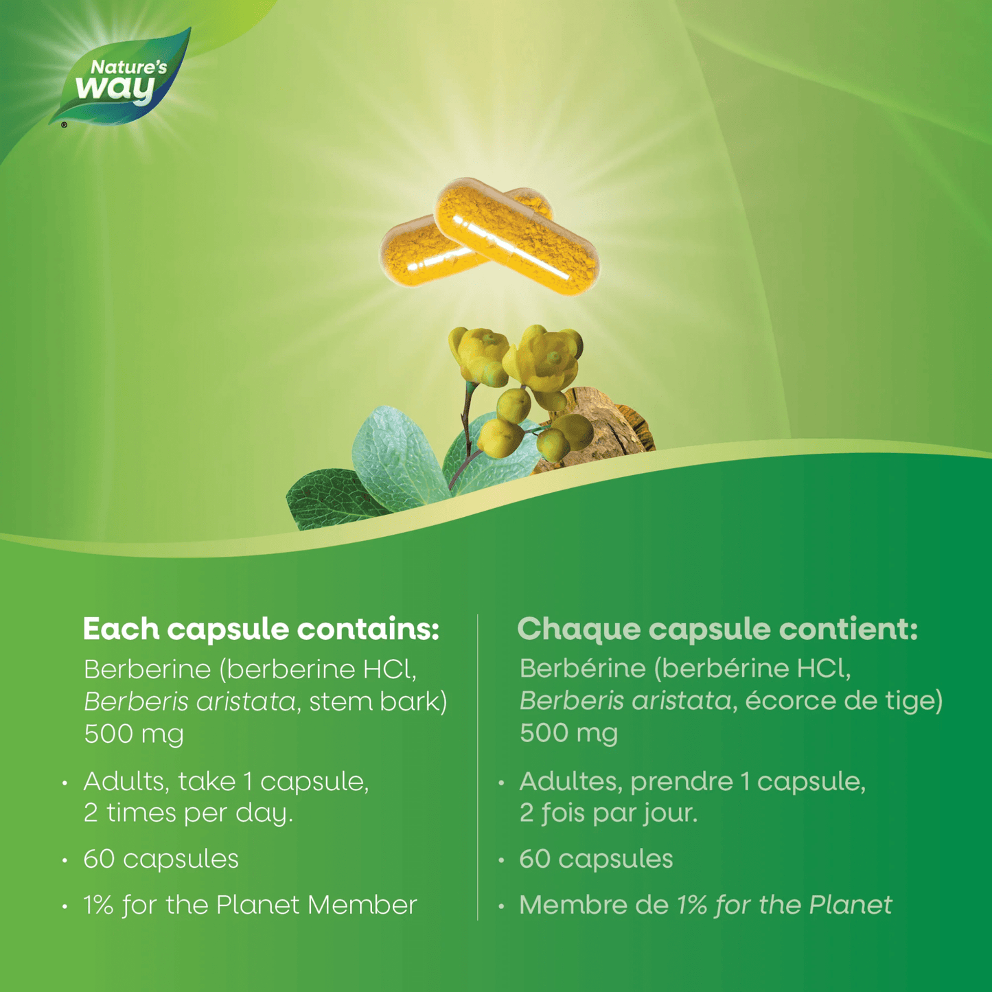 60 Vegetable Capsules | Nature's Way Berberine