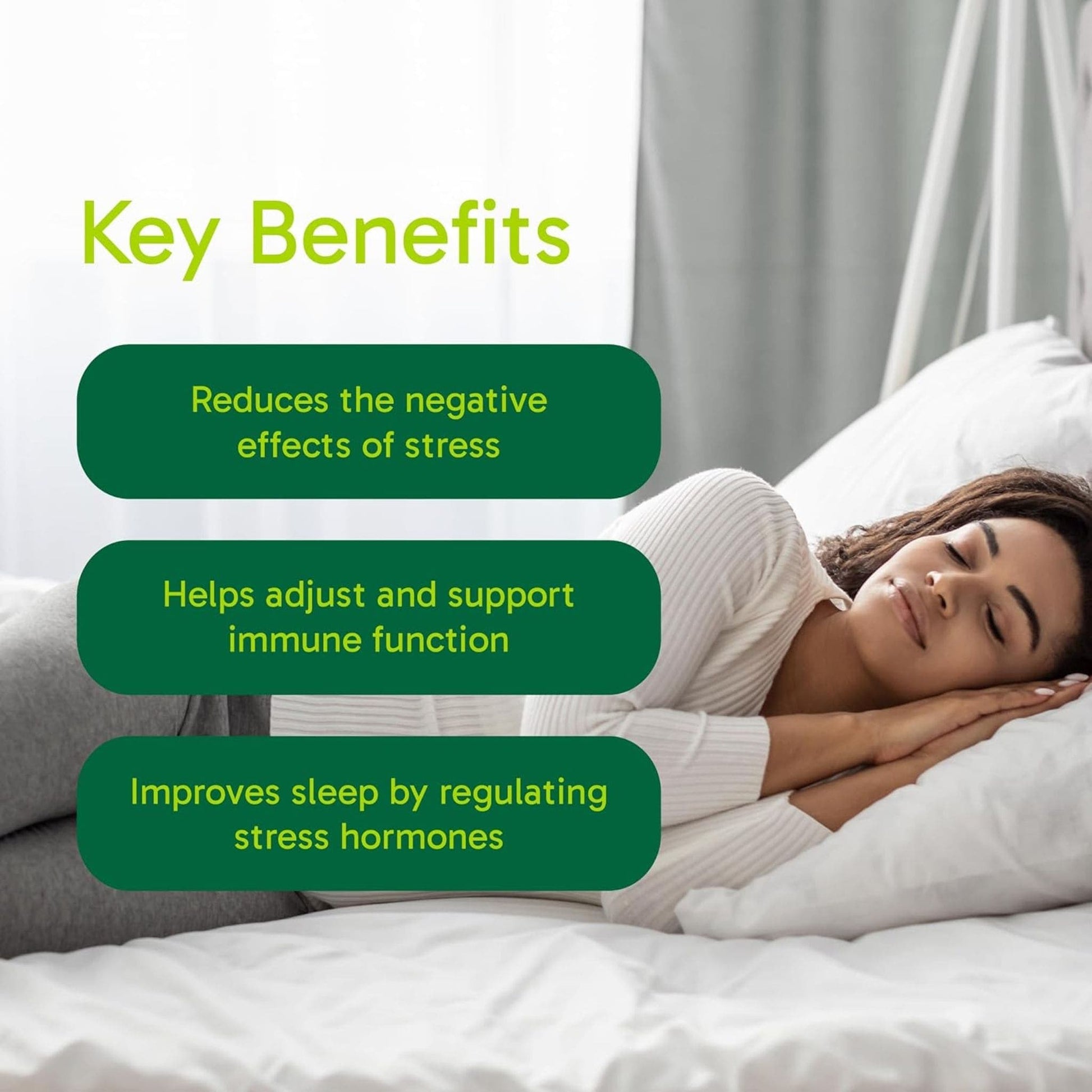 90 Vegetarian Capsules | Organika Reishi Mushroom Extract