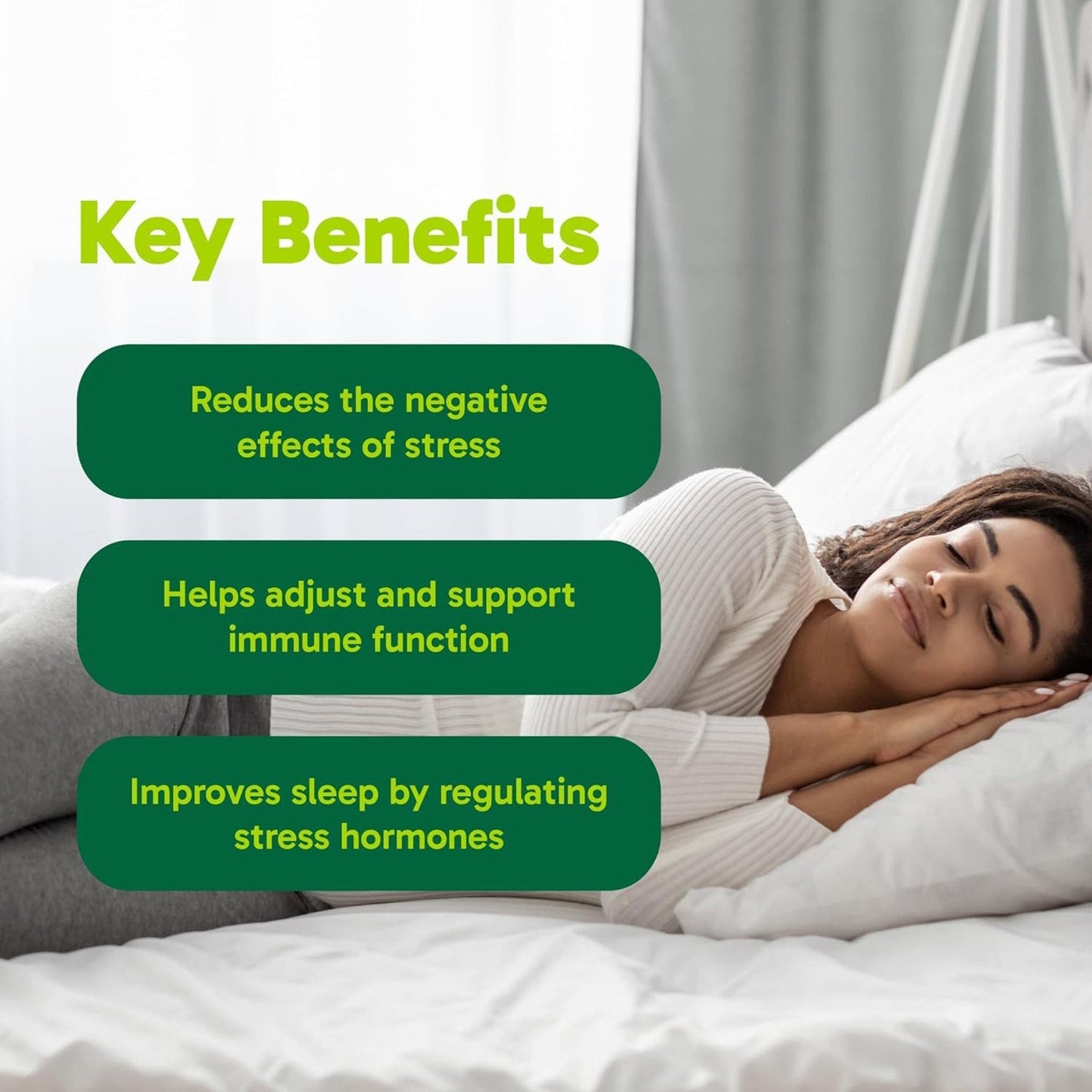 90 Vegetarian Capsules | Organika Reishi Mushroom Extract