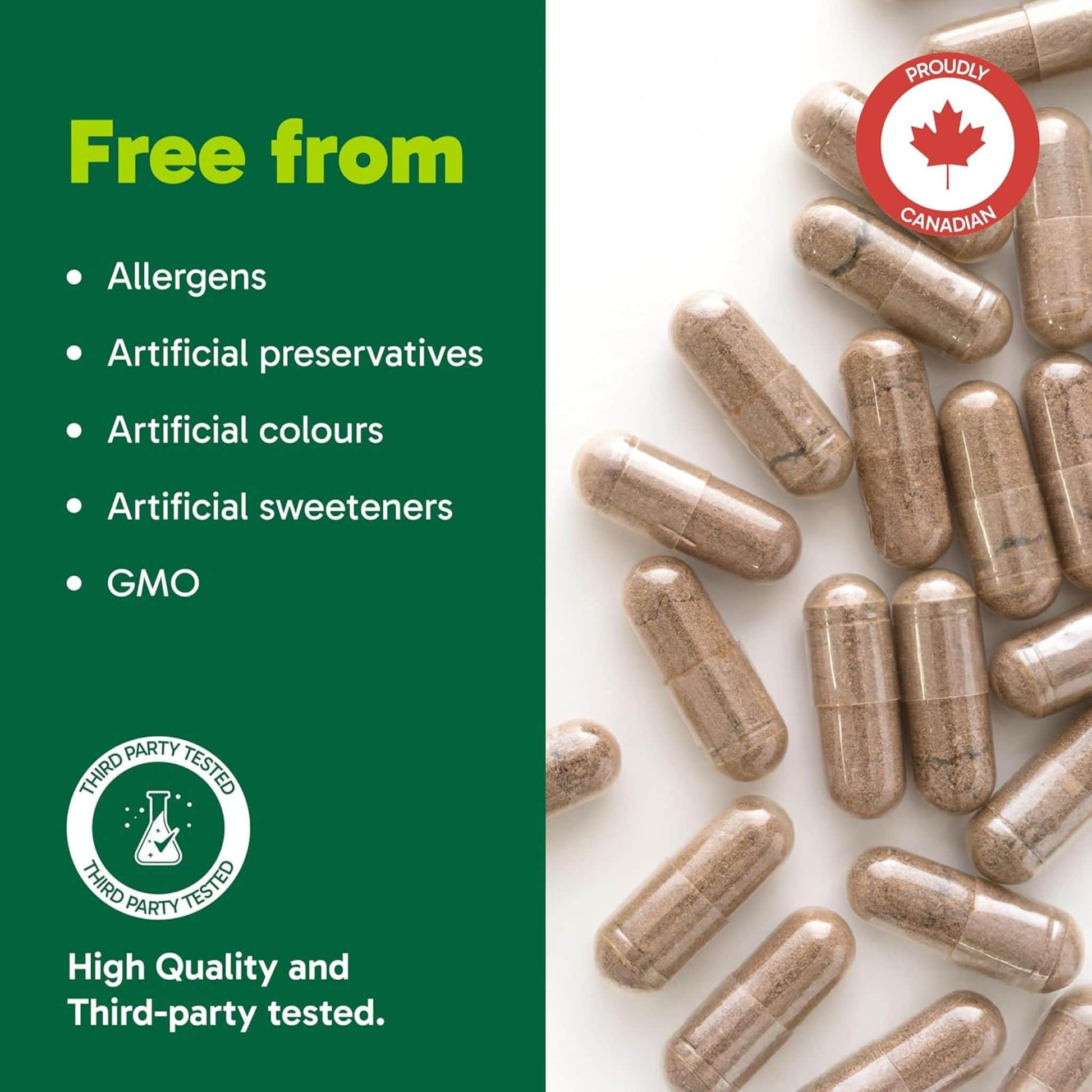 90 Vegetarian Capsules | Organika Reishi Mushroom Extract