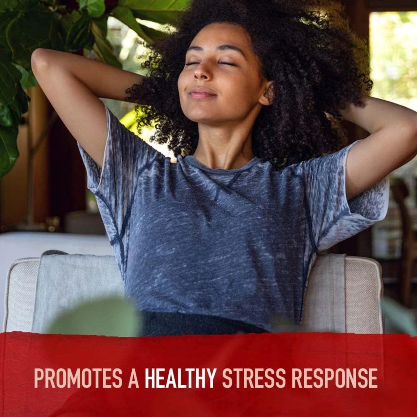 60 Vegan Tablets | Garden of Life Organics Ashwagandha