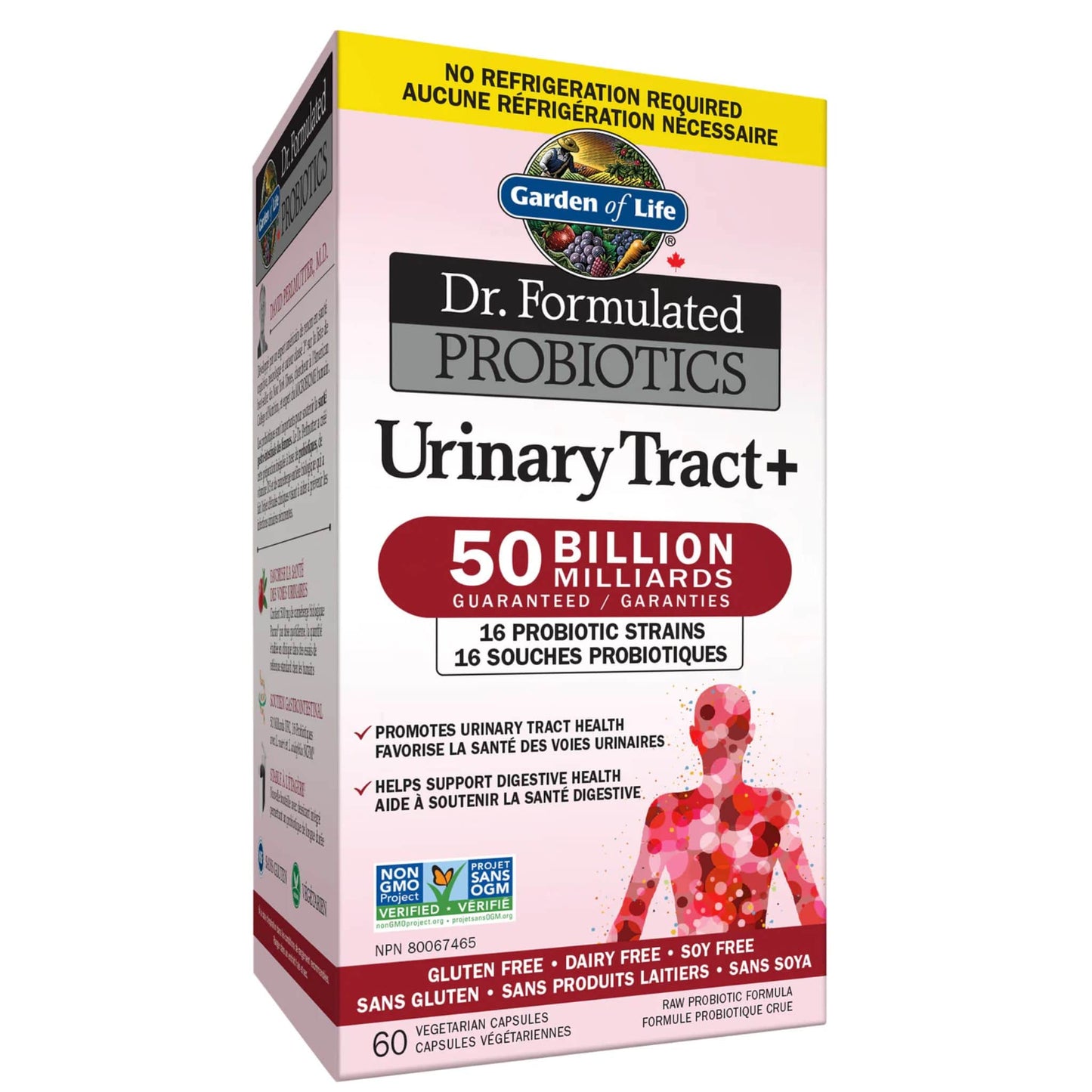 60 Vegetable Capsules | Garden of Life Dr. Formulated Probiotics Urinary Tract Plus 50 Billion