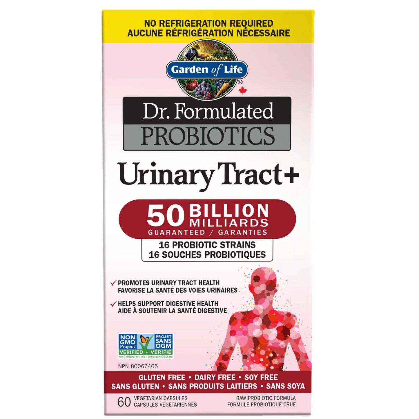 60 Vegetable Capsules | Garden of Life Dr. Formulated Probiotics Urinary Tract Plus 50 Billion