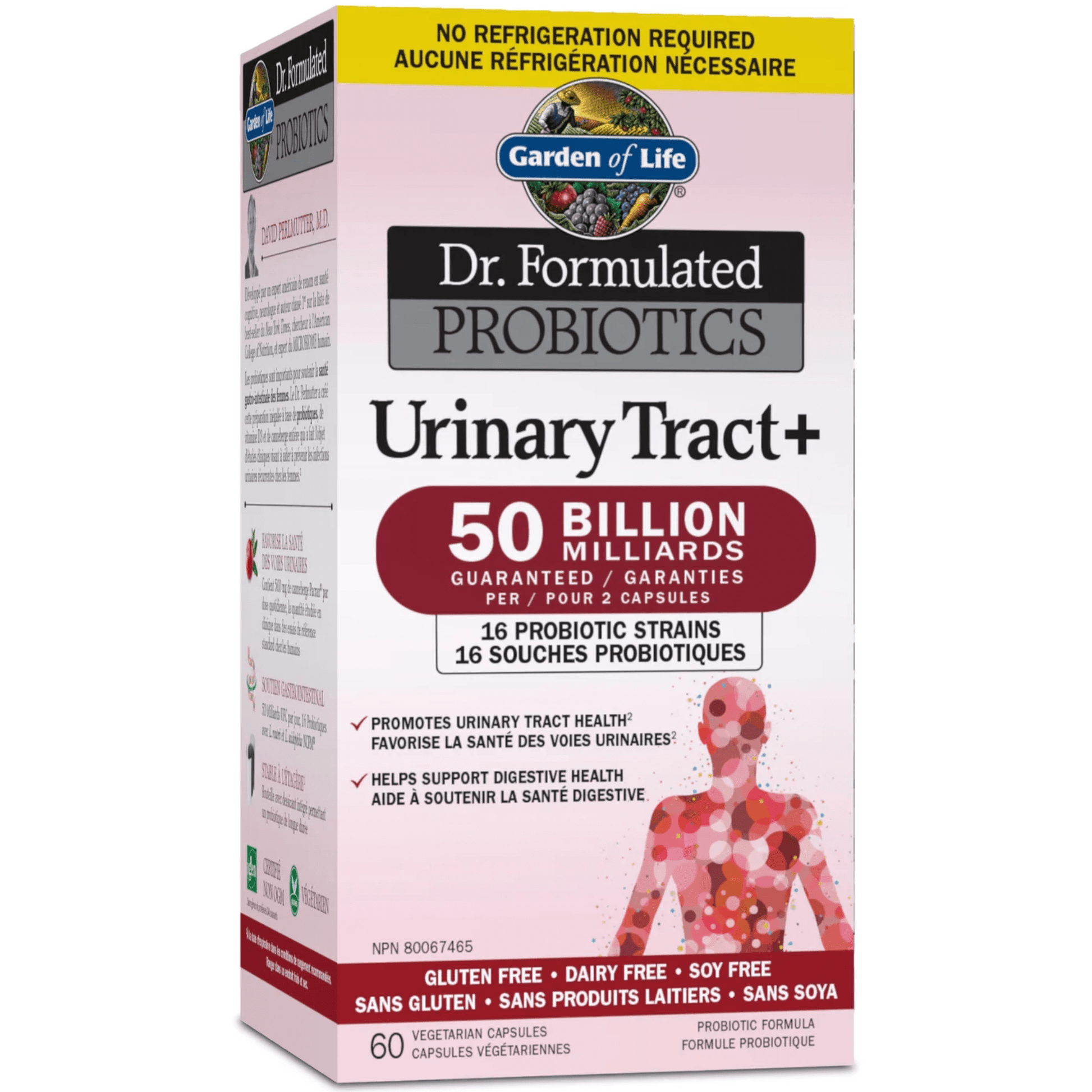 60 Vegetable Capsules | Garden of Life Dr. Formulated Probiotics Urinary Tract+