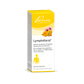 50ml | Pascoe Lymphdiaral Oral Drops 50ml