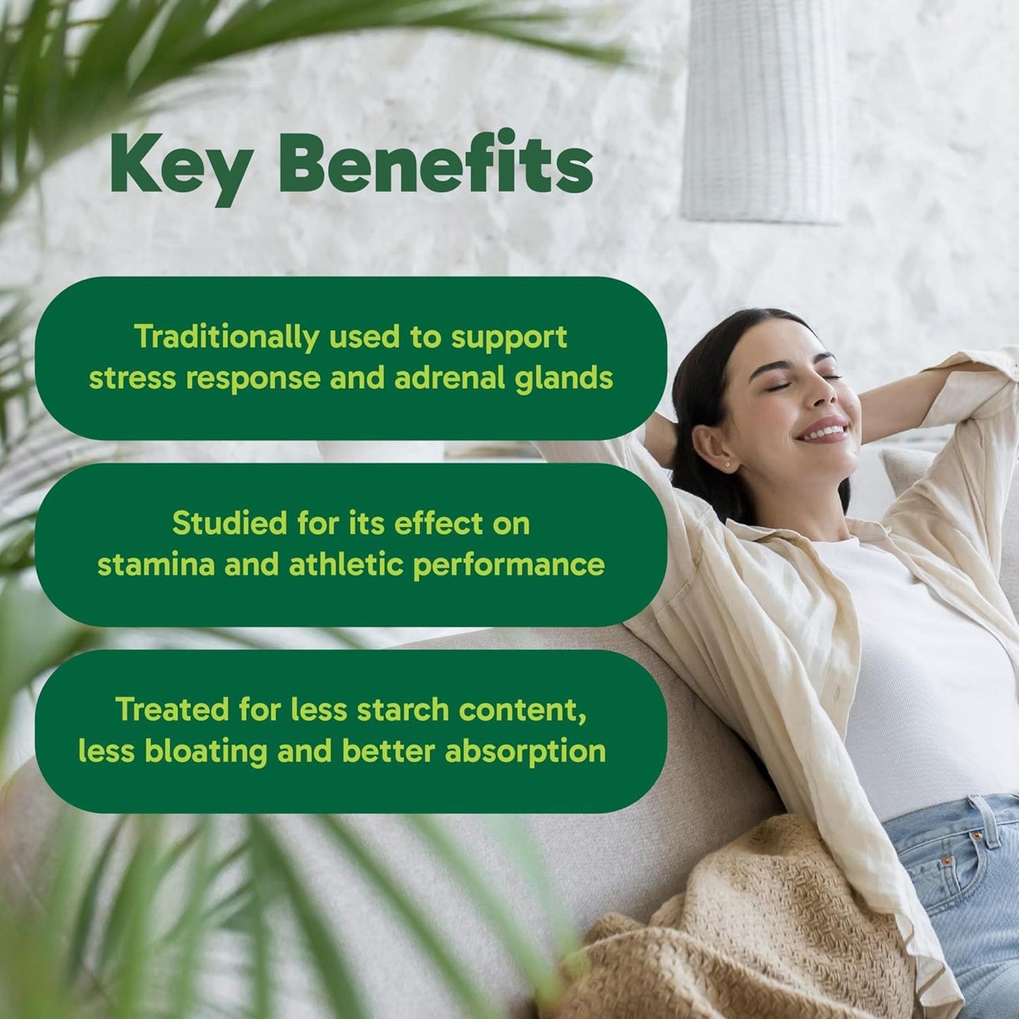 180 Vegetarian Capsules | Organika MACA 3000 mg