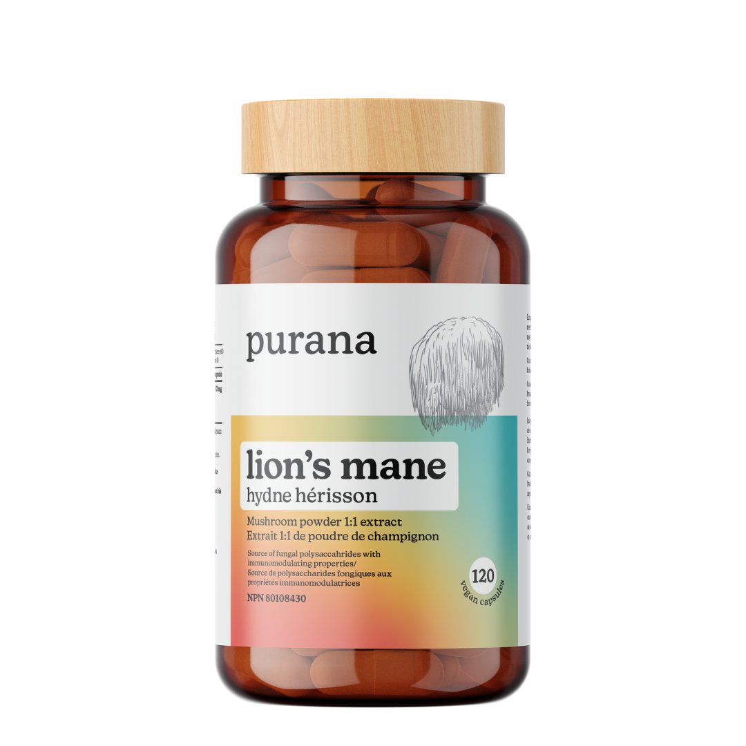 120 Capsules | Purana Lion's Mane 1:1 Extract Capsules 120 Capsules