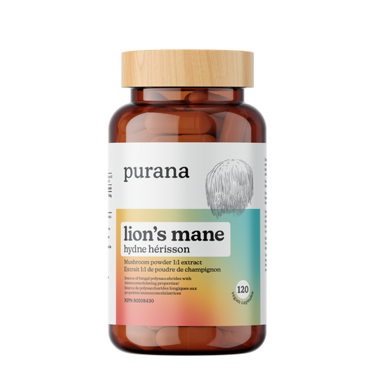 120 Capsules | Purana Lion's Mane 1:1 Extract Capsules 120 Capsules