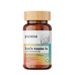 60 Capsules | Purana Lion's Mane 8:1 Extract Capsules 60 Capsules