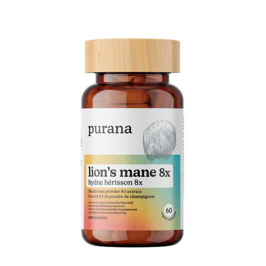60 Capsules | Purana Lion's Mane 8:1 Extract Capsules 60 Capsules