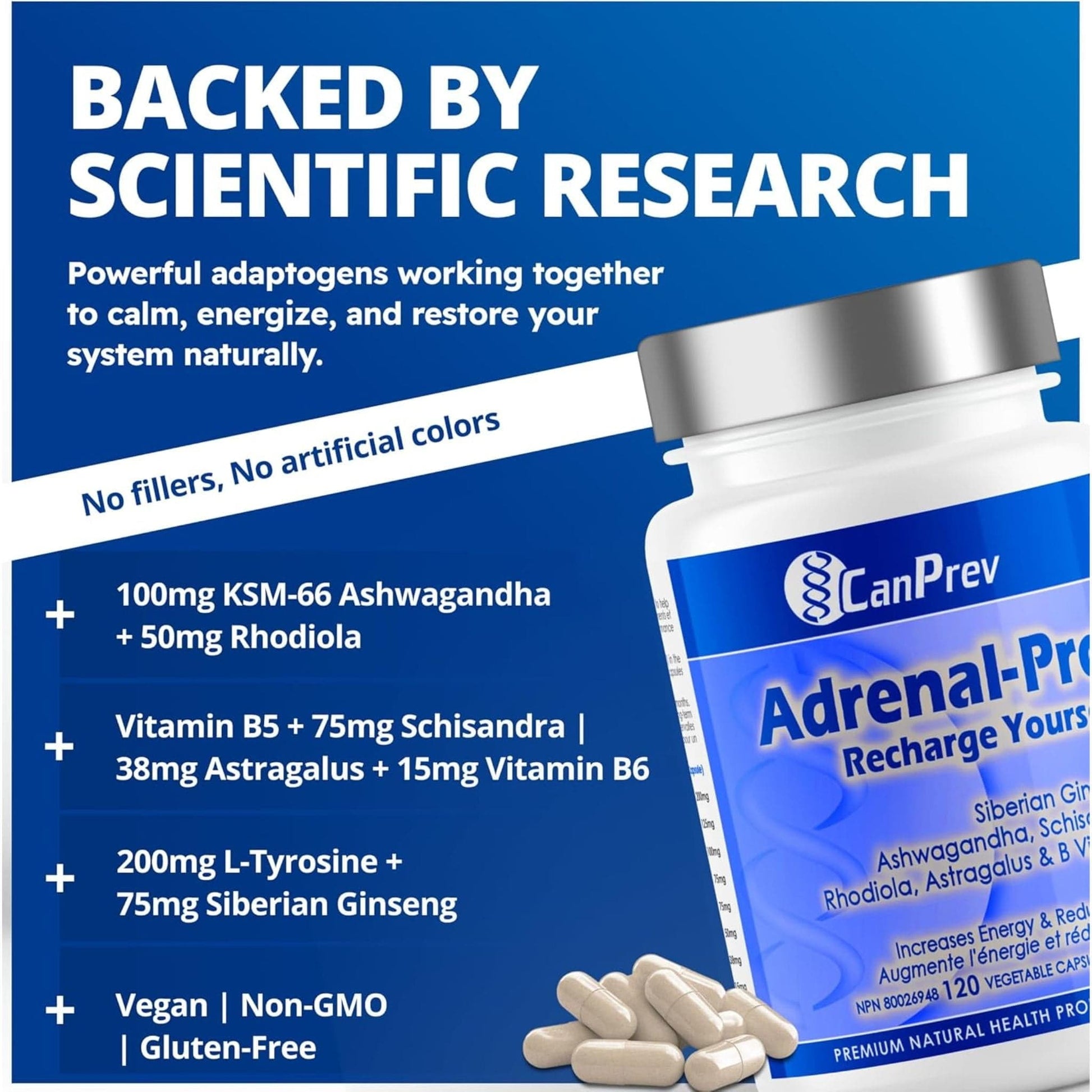 120 Vegetable Capsules | CanPrev Adrenal-Pro Recharge Yourself