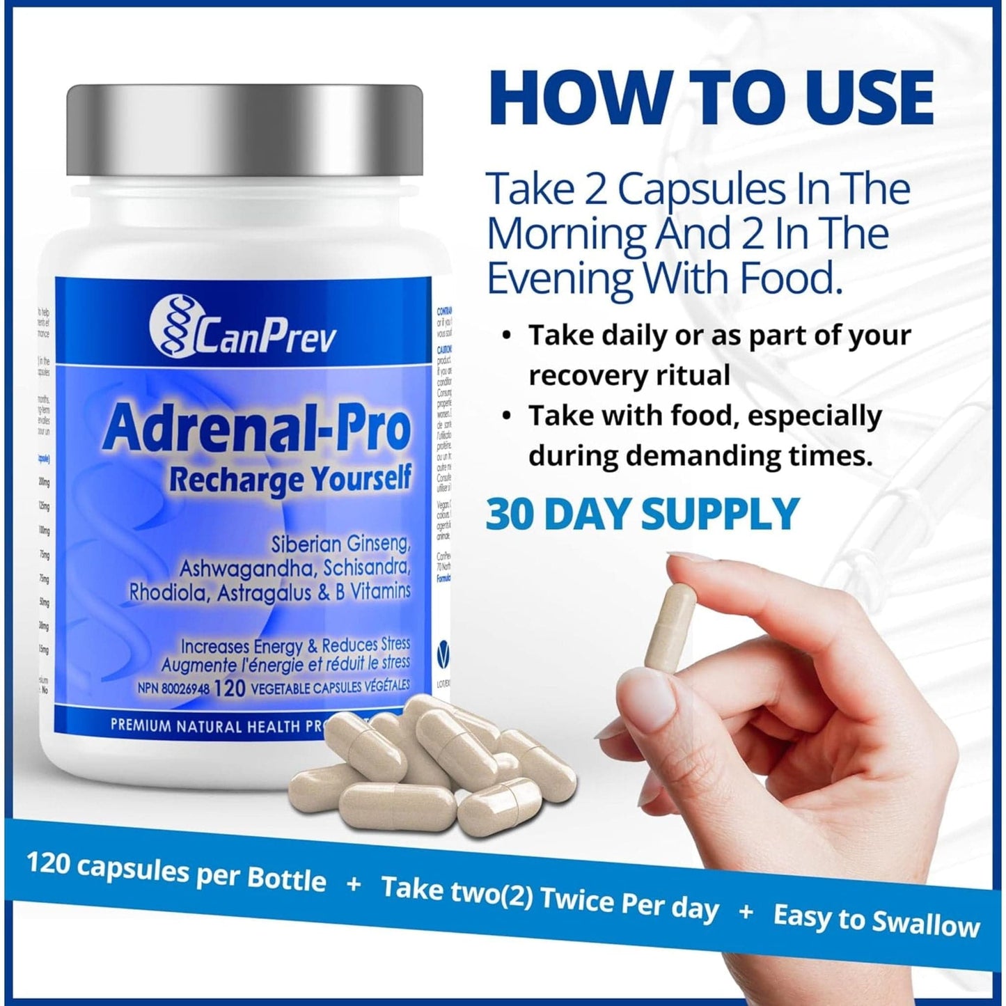 120 Vegetable Capsules | CanPrev Adrenal-Pro Recharge Yourself