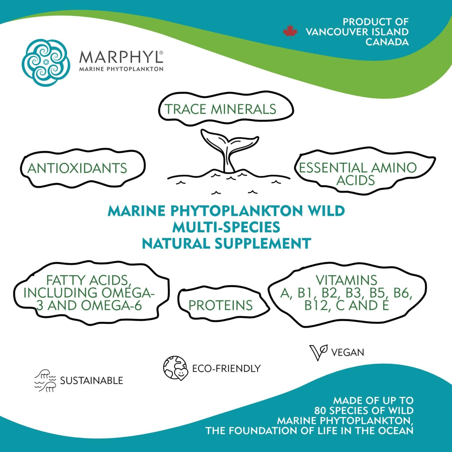 30 Capsules | Marphyl Marine Phytoplankton What's Inside