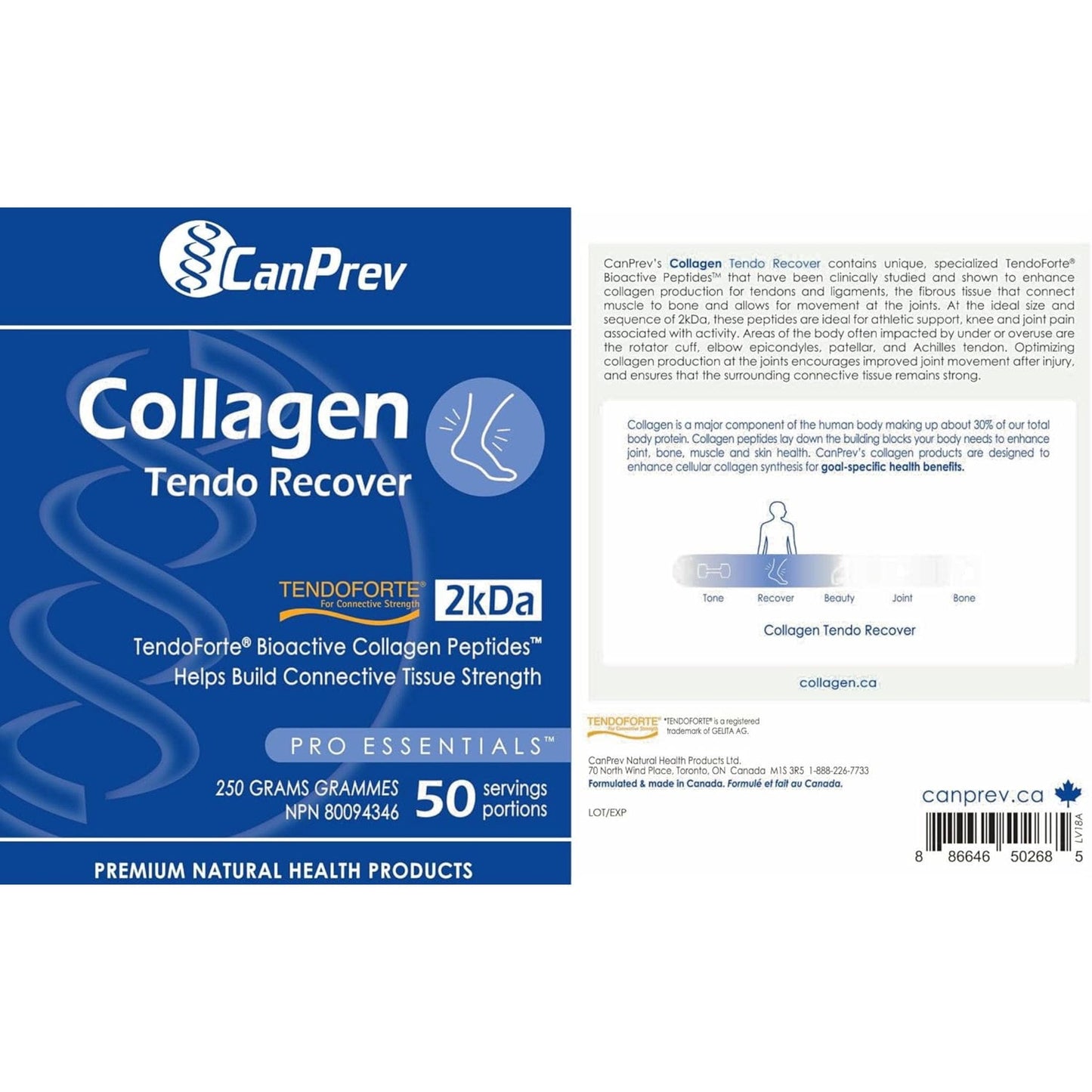 Unflavoured, 250g | CanPrev Collagen Tendo Recover Powder