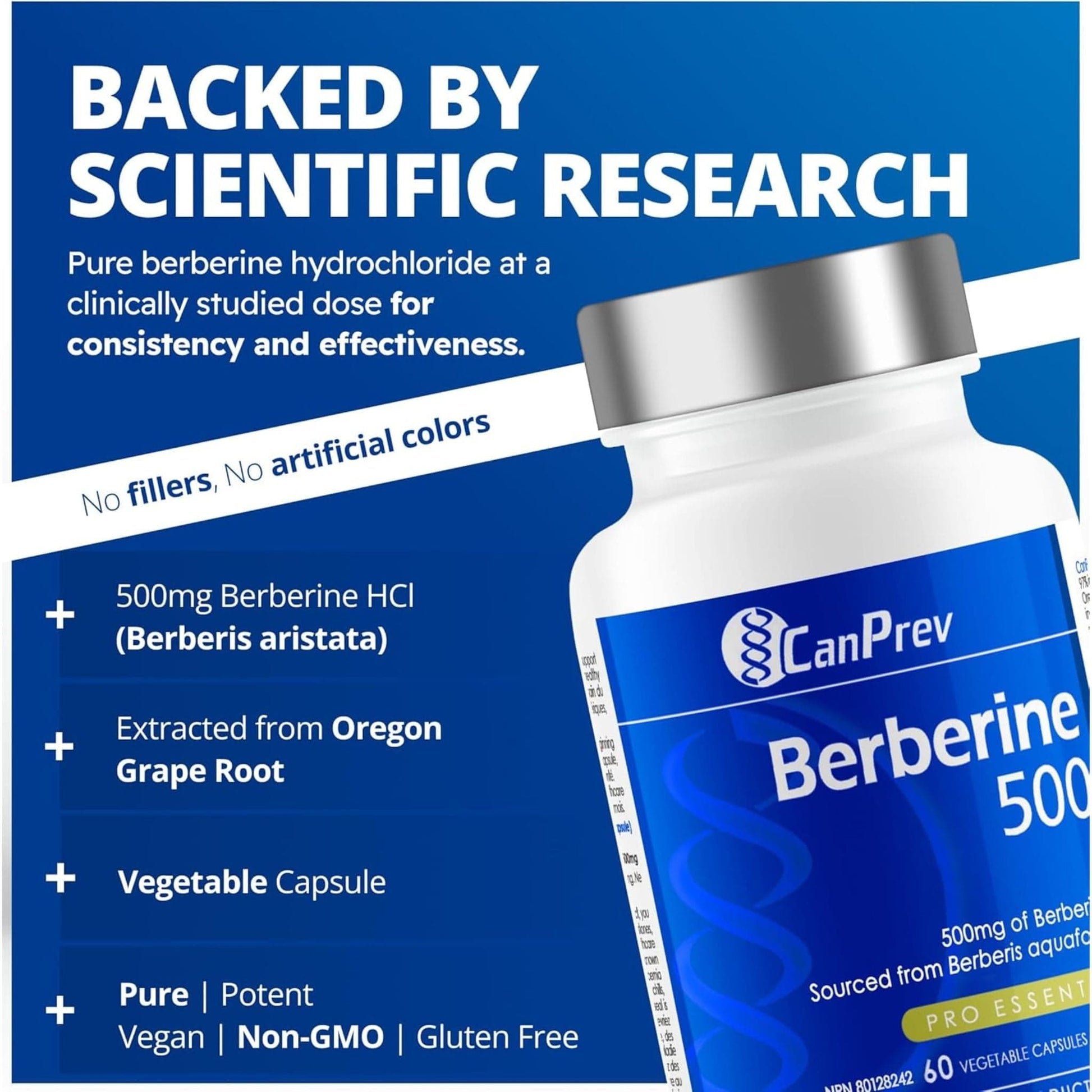 60 Vegetable Capsules | CanPrev Berberine 500mg