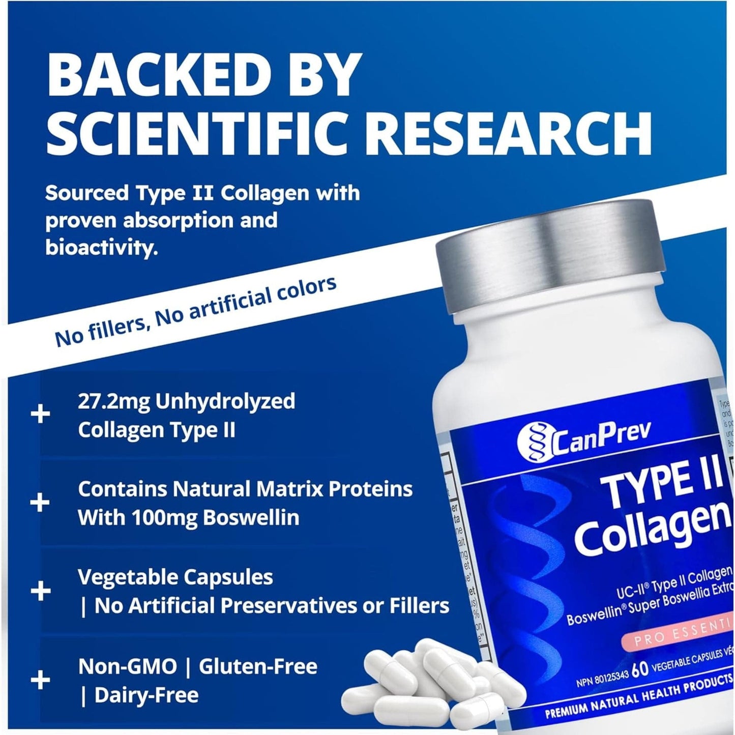 60 Vegetable Capsules | CanPrev Type II Collagen, Supports Joint Health