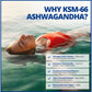60 Vegetable Capsules | CanPrev Ashwagandha Body and Mind 600mg