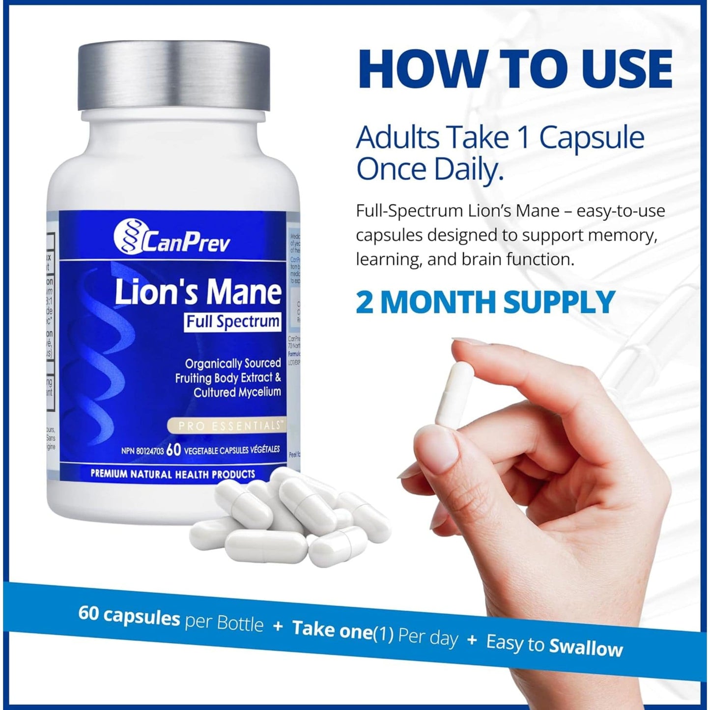 60 Vegetable Capsules | CanPrev Lion's Mane Full Spectrum