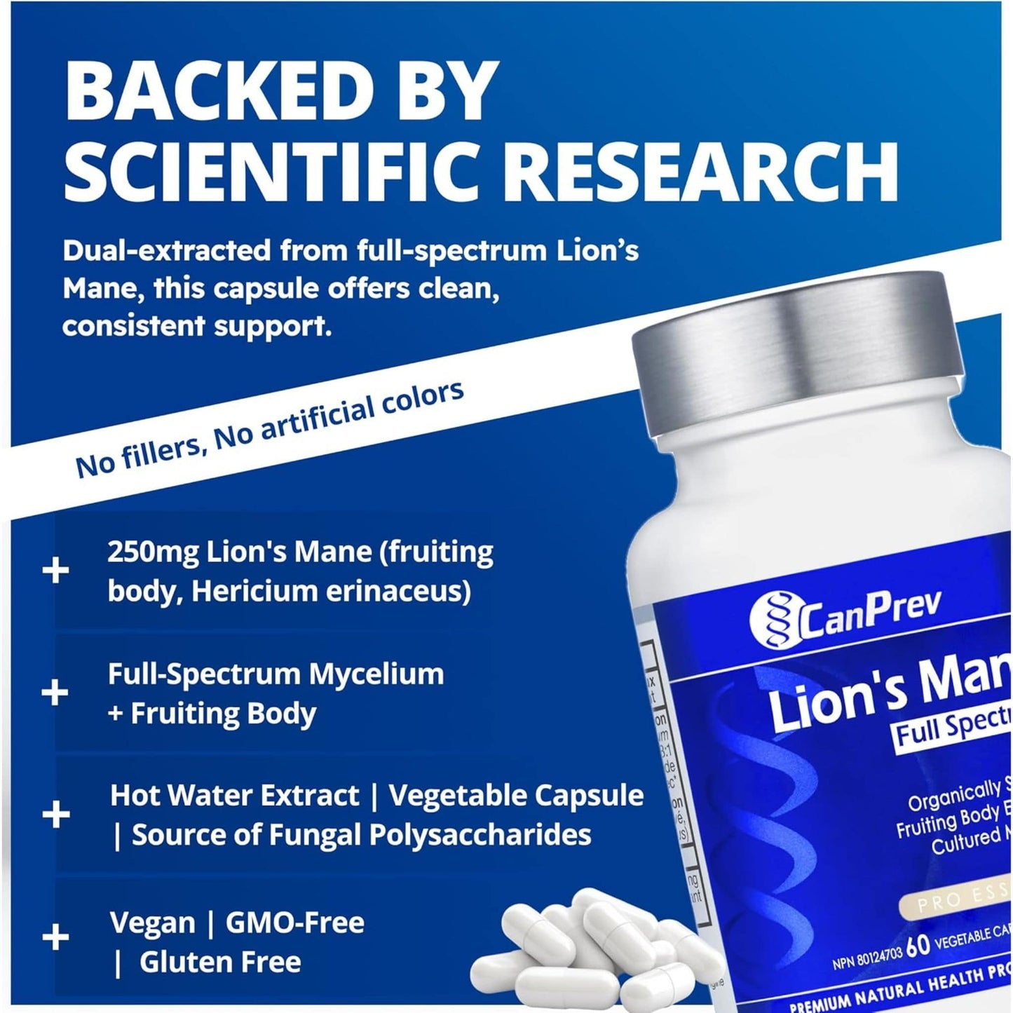60 Vegetable Capsules | CanPrev Lion's Mane Full Spectrum