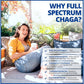 60 Vegetable Capsules | CanPrev Chaga Full Spectrum