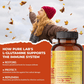 150 Vegetable Capsules | Pure Lab Vitamins L-Glutamine
