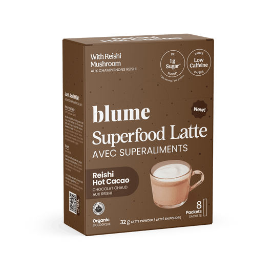 Blume Reishi Hot Cacao single serve sachets 8 count
