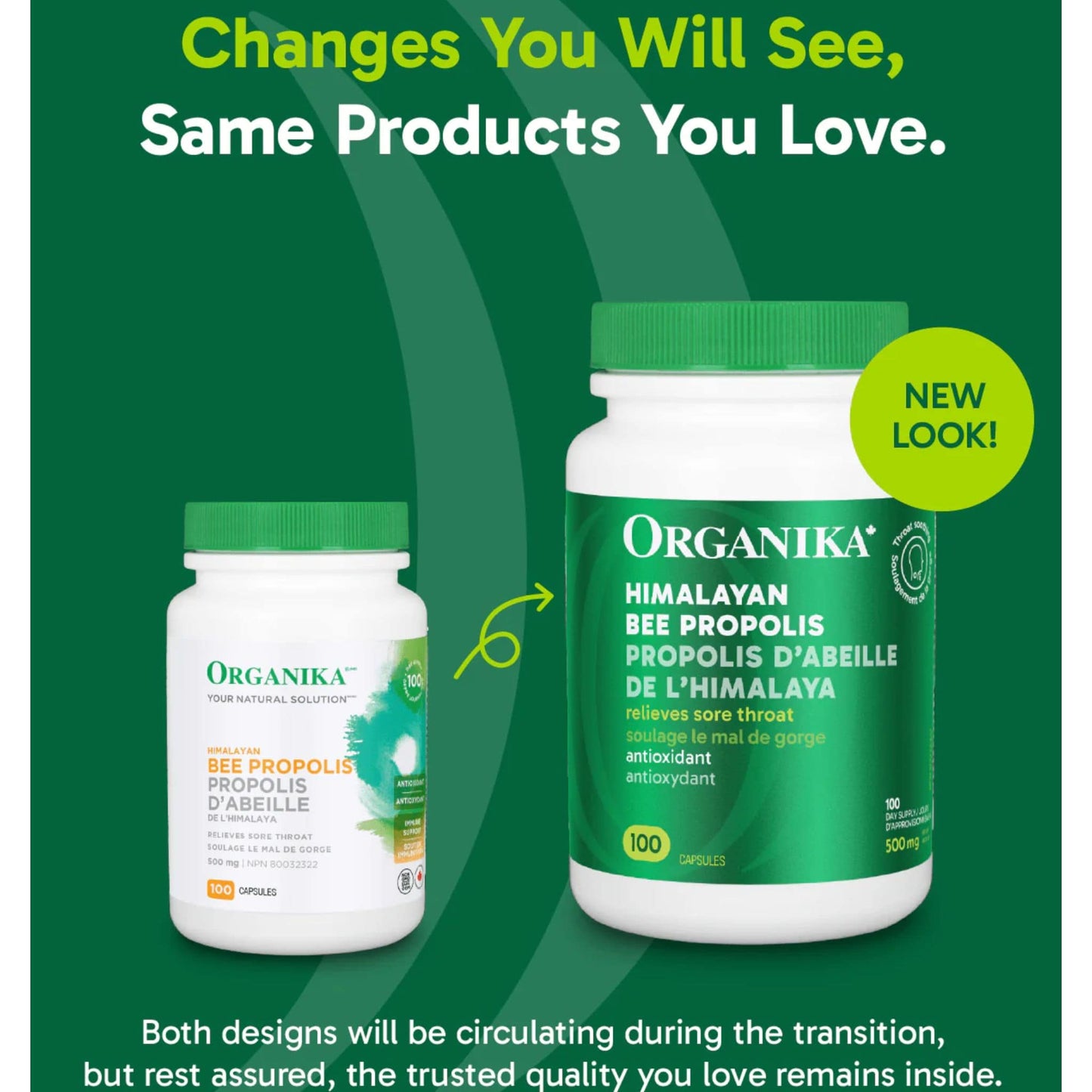 100 Capsules | Organika Himalayan Bee Propolis 500  mg