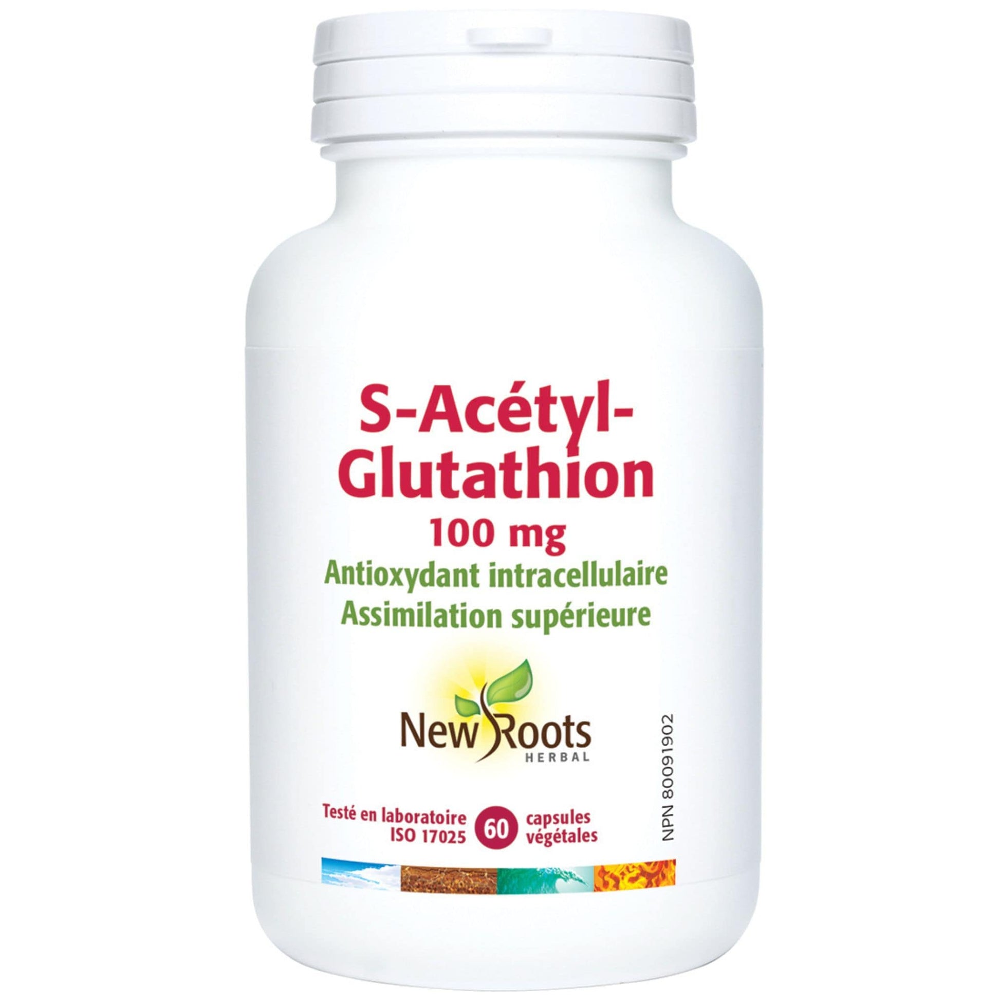 l carnitine 1200 mg Amazon.com: Horbäach Acetyl L Carnitine HCL & Alpha Lipoic Acid 1200mg | 120 Capsules | ALC ALA Complex l carnitine 1200 mg Amazon.com: Horbäach Acetyl L Carnitine HCL & Alpha Lipoic Acid 1200mg | 120 Capsules | ALC ALA Complex