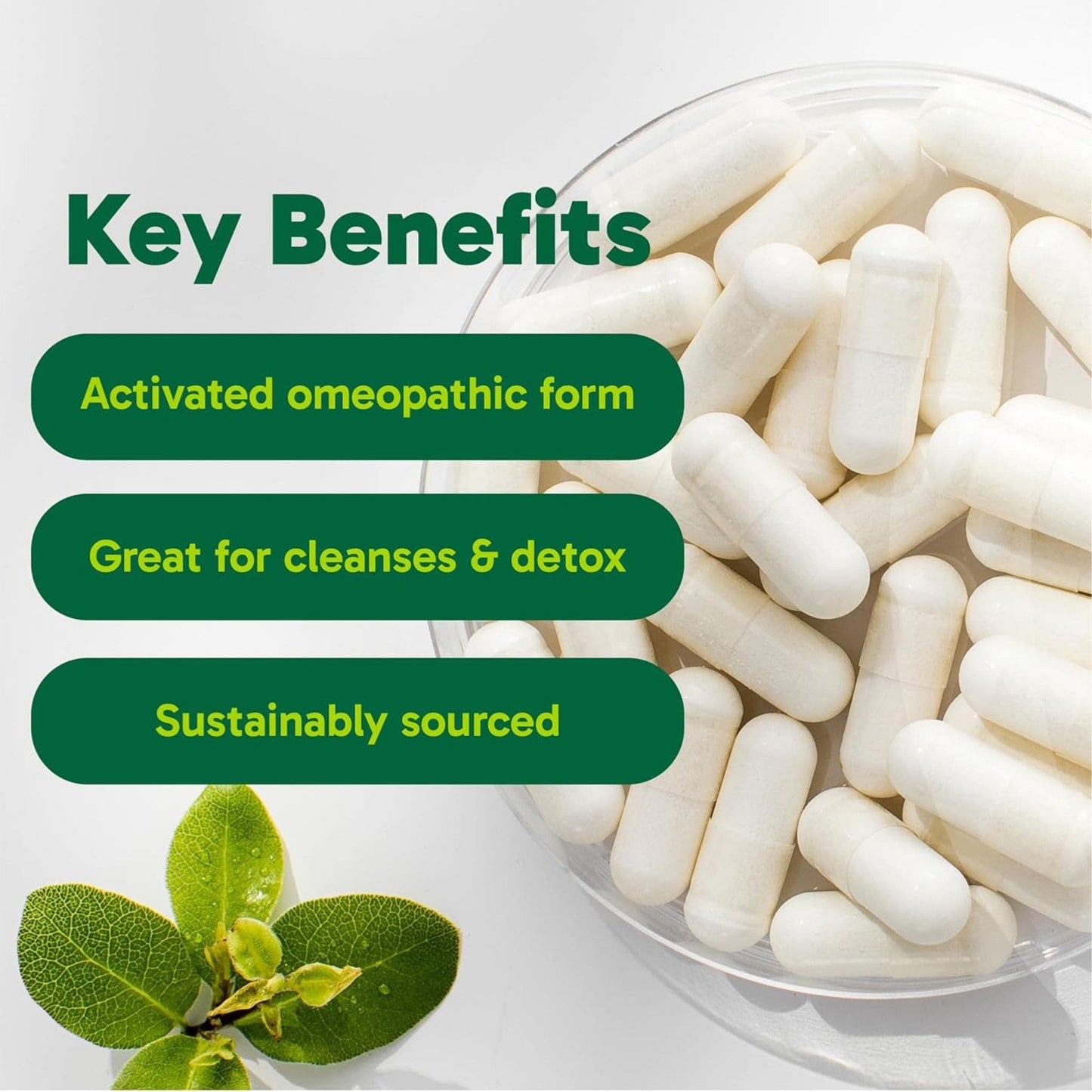 90 Vegetarian Capsules | Organika Activated Charcoal