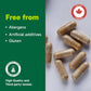 120 Vegetarian Capsules | Organika Absolute Iron 25 mg