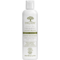 Druide Frequent Daily Shampoo