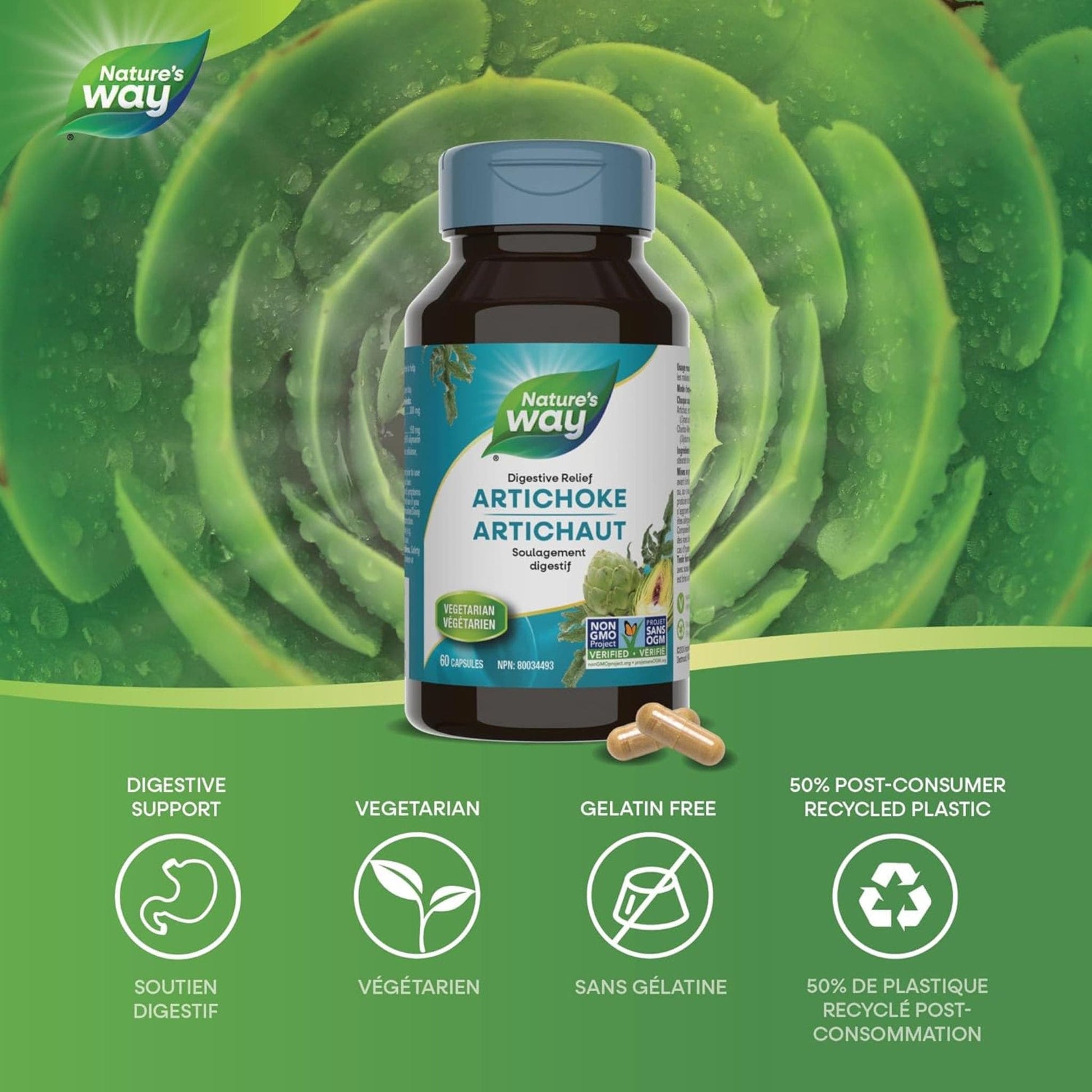 60 Vegetable Capsules | Nature's Way Artichoke