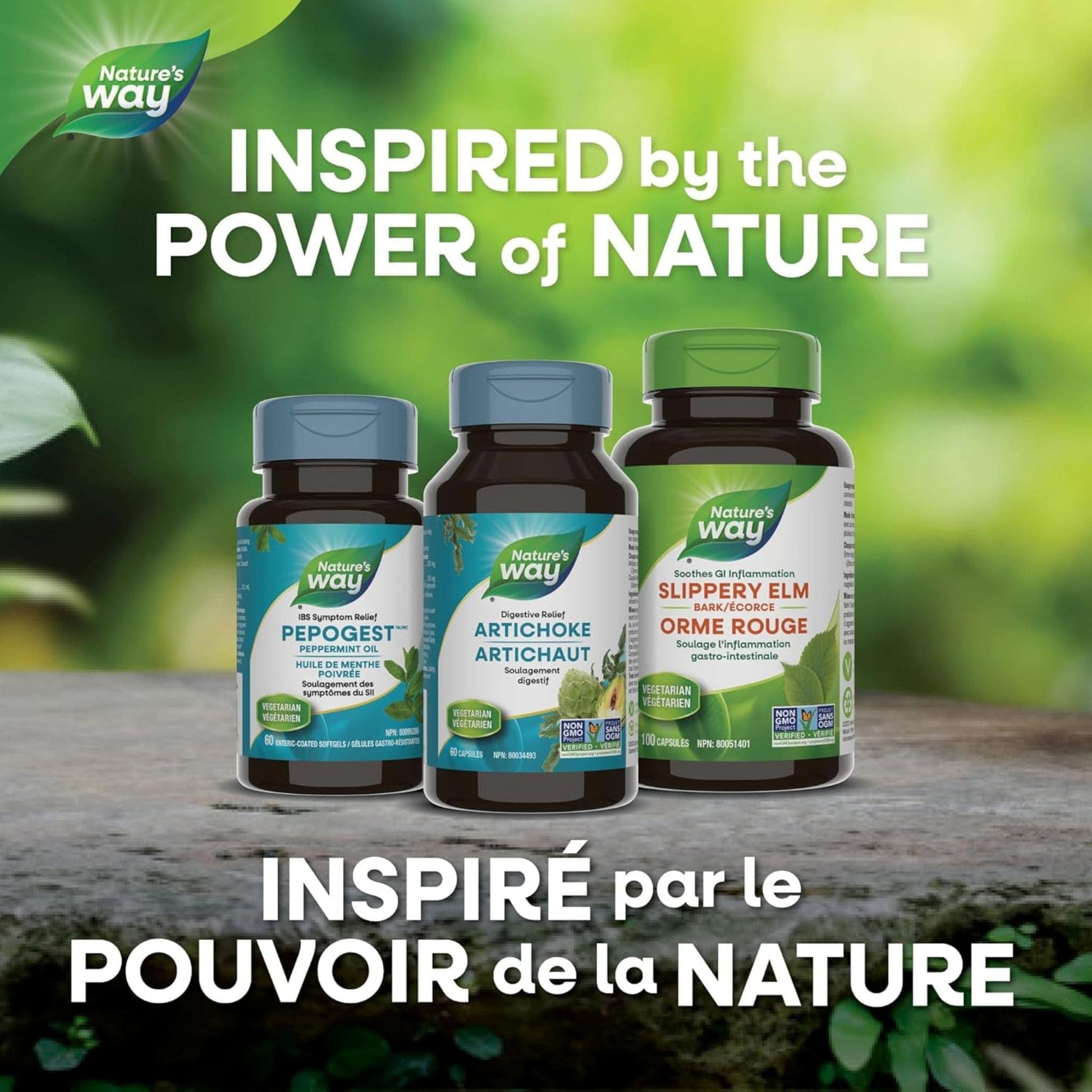 60 Vegetable Capsules | Nature's Way Artichoke