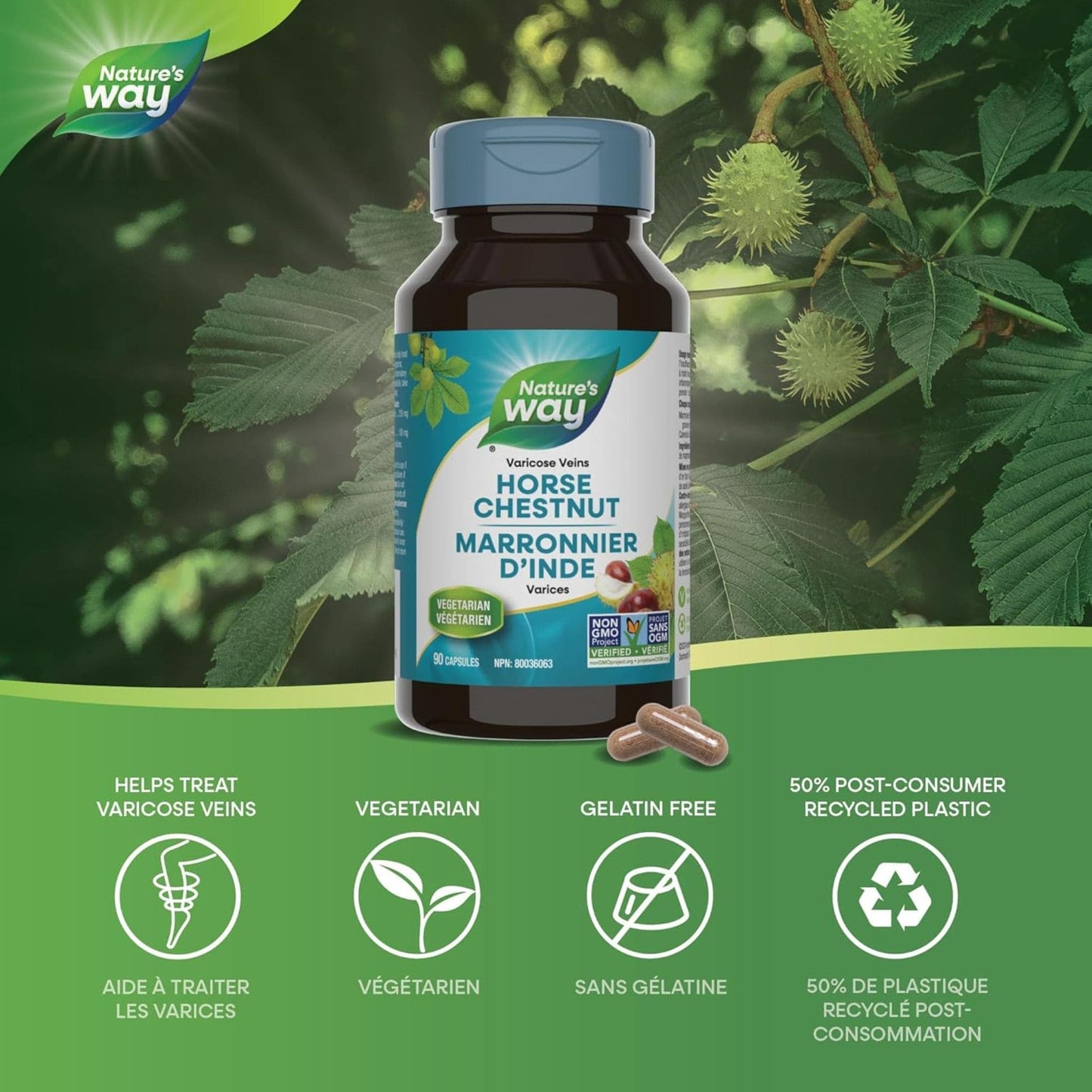 90 Vegetarian Capsules | Nature's Way Horse Chestnut