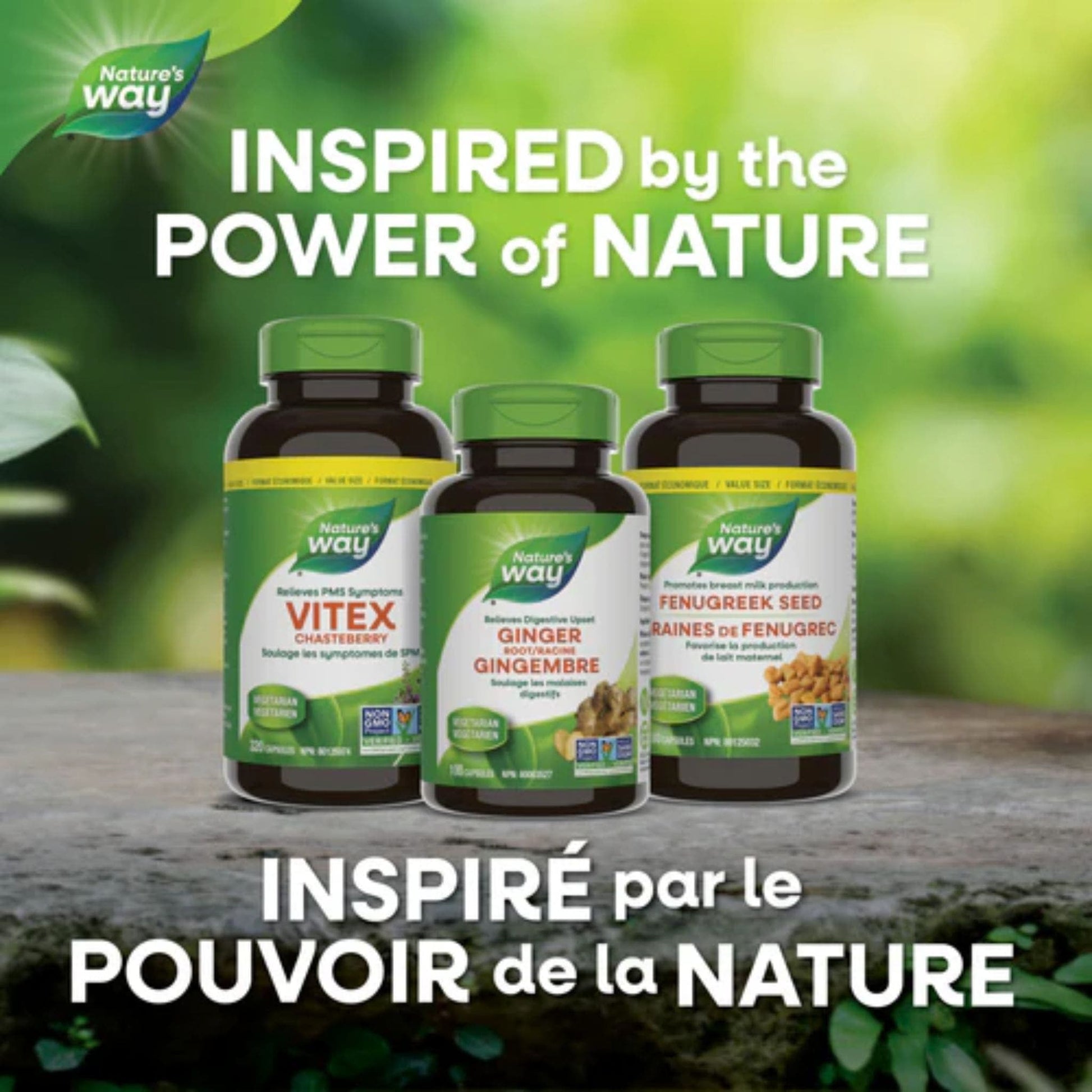 180 Vegetarian Capsules | Nature's Way Fenugreek Seed