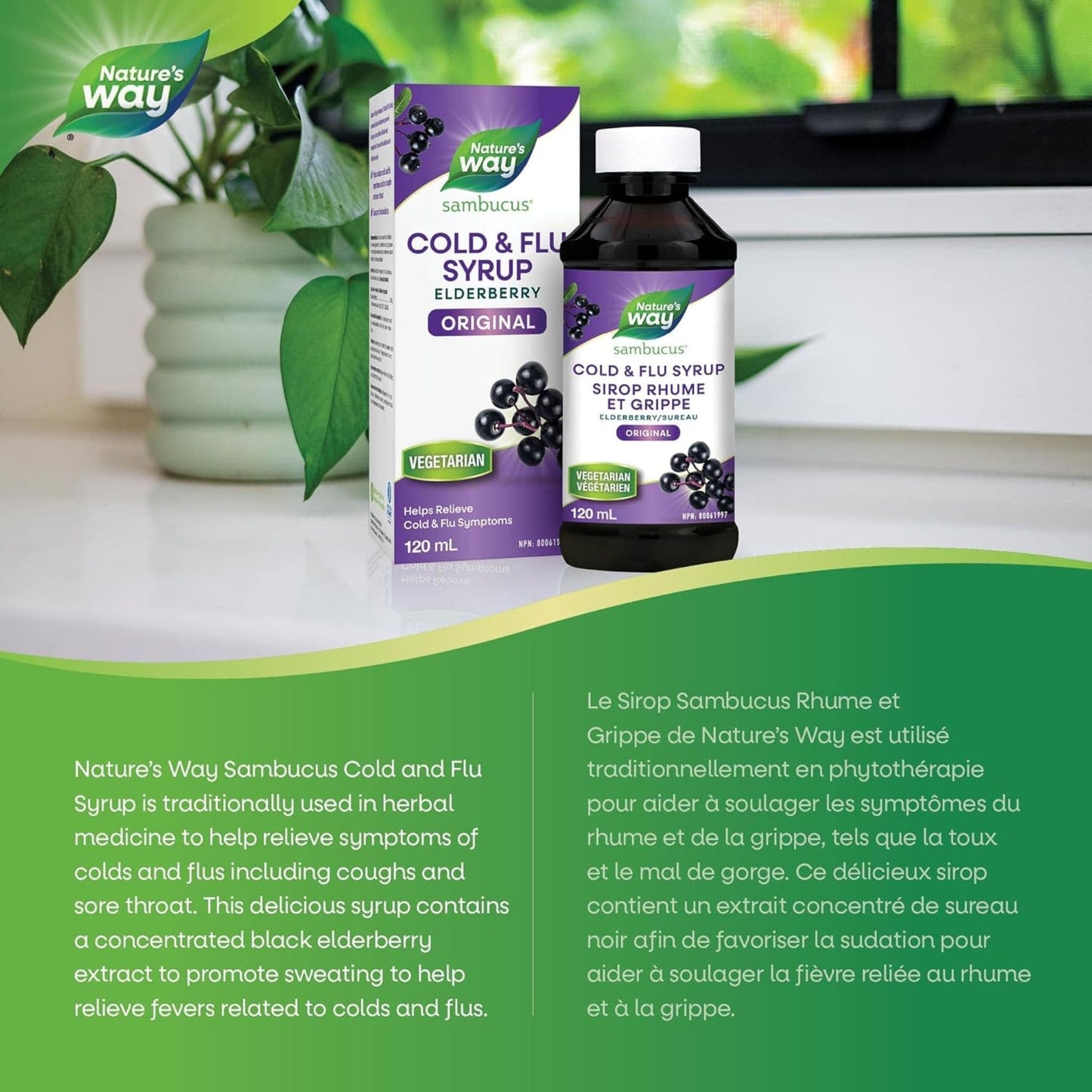 Elderberry Original, 120mL | Nature's Way Sambucus Cold and Flu Syrup