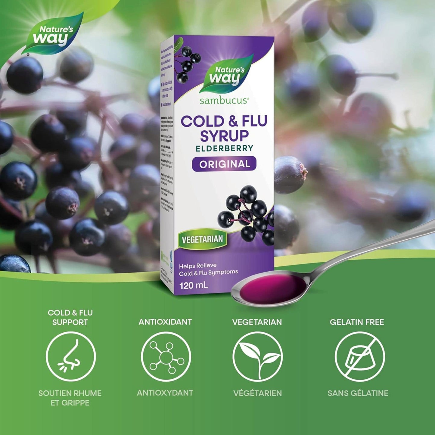 Elderberry Original, 120mL | Nature's Way Sambucus Cold and Flu Syrup