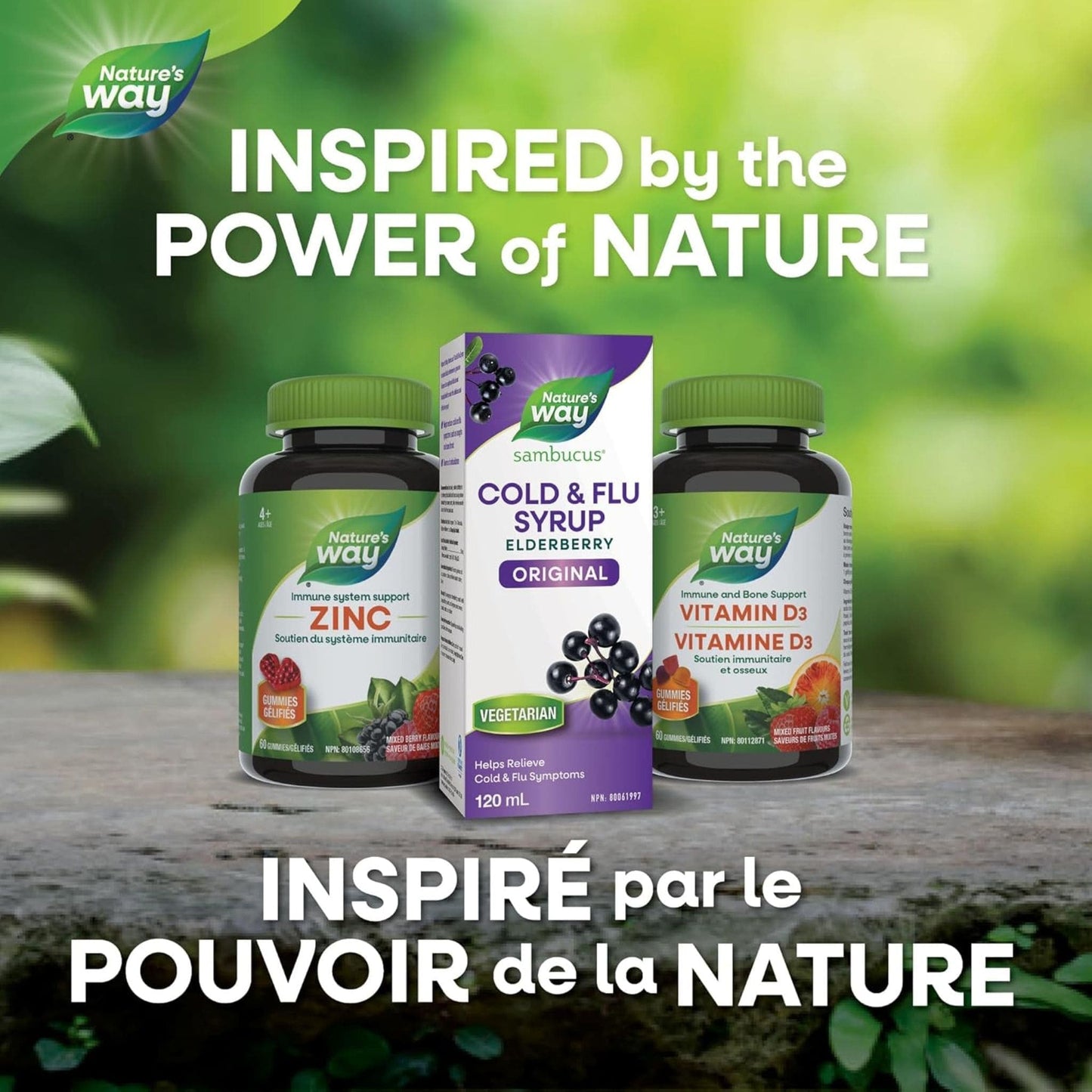 Elderberry Original, 120mL | Nature's Way Sambucus Cold and Flu Syrup