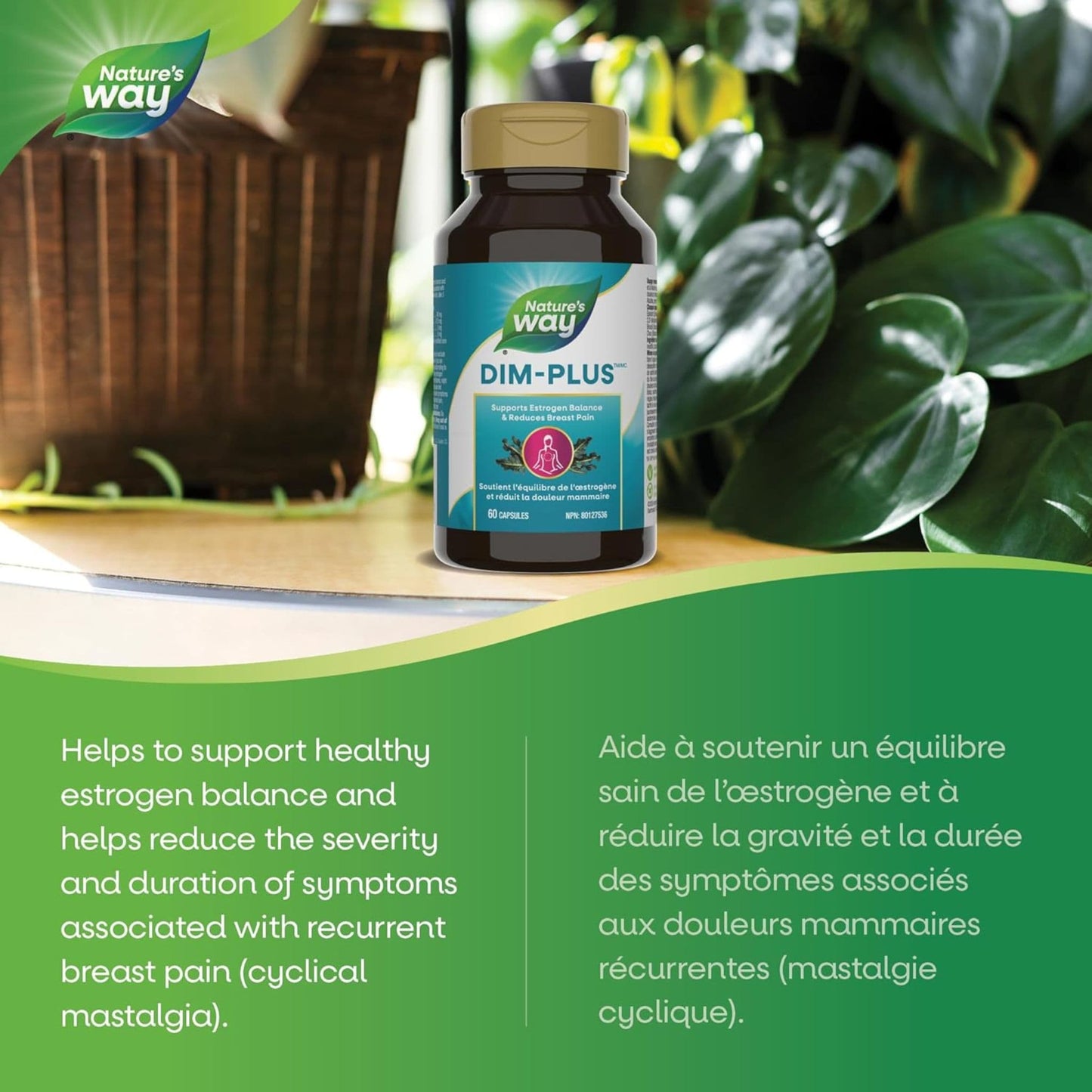 60 Capsules | Nature's Way DIM-PLUS