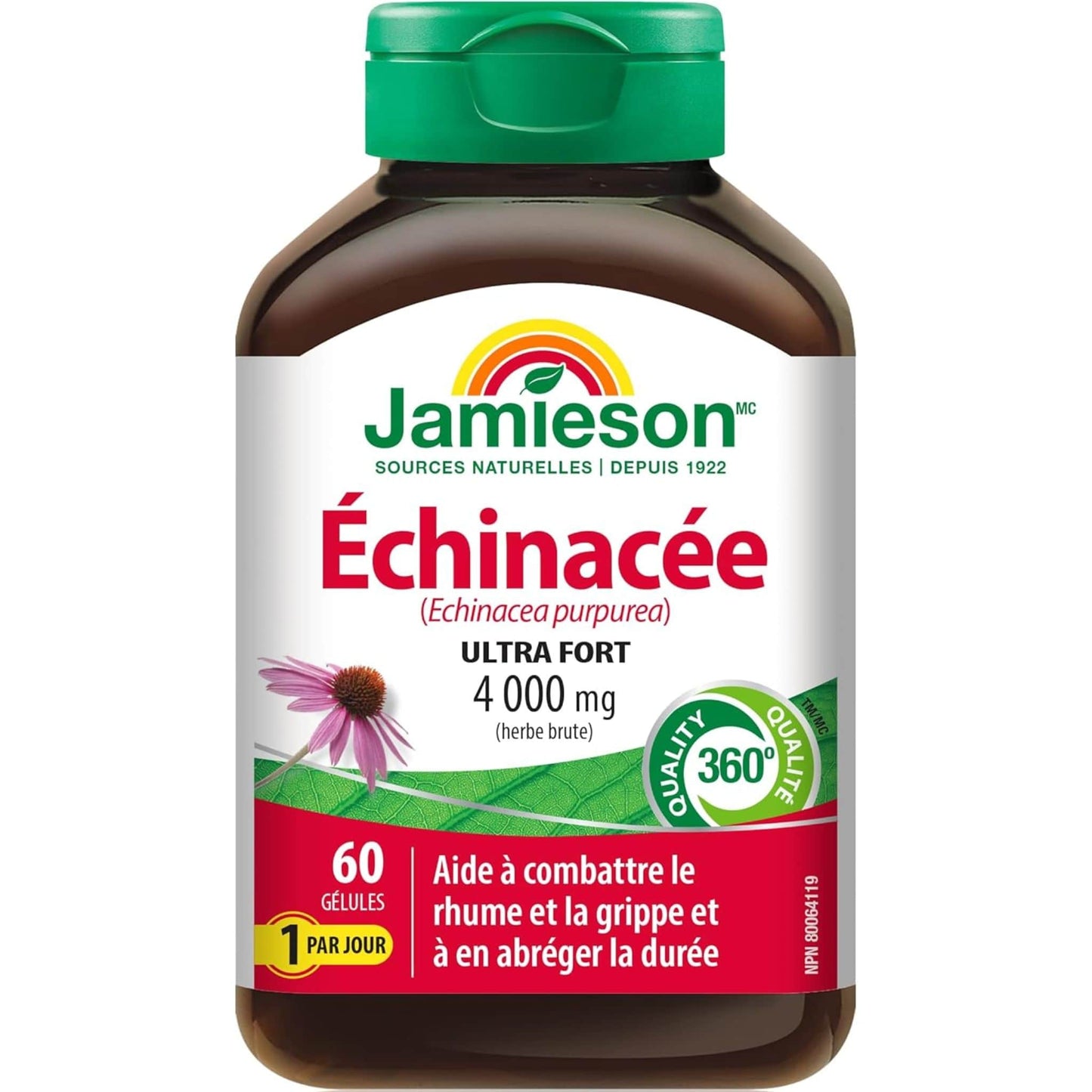 60 Softgels | Jamieson Echinacea 4,000 mg, Ultra Strength