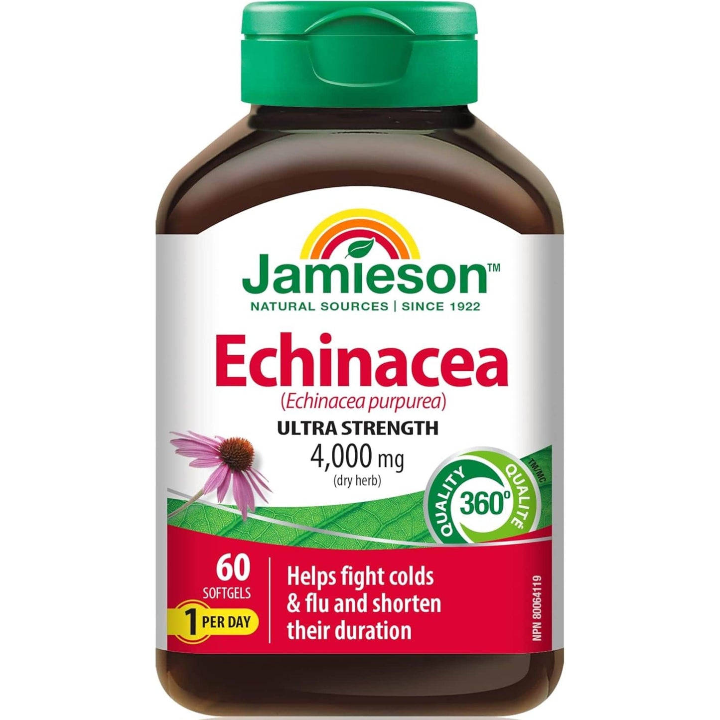 60 Softgels | Jamieson Echinacea 4,000 mg, Ultra Strength