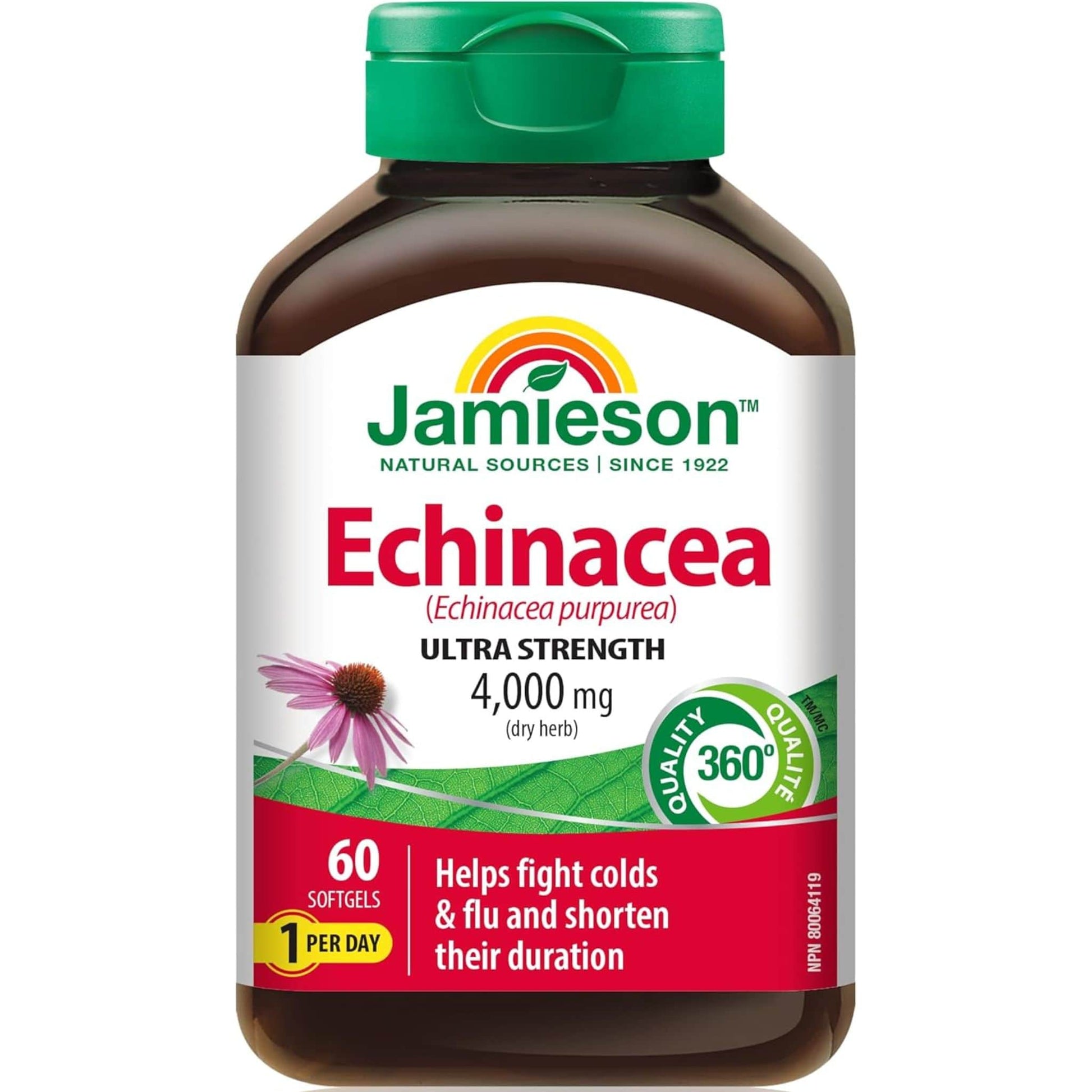 60 Softgels | Jamieson Echinacea 4,000 mg, Ultra Strength
