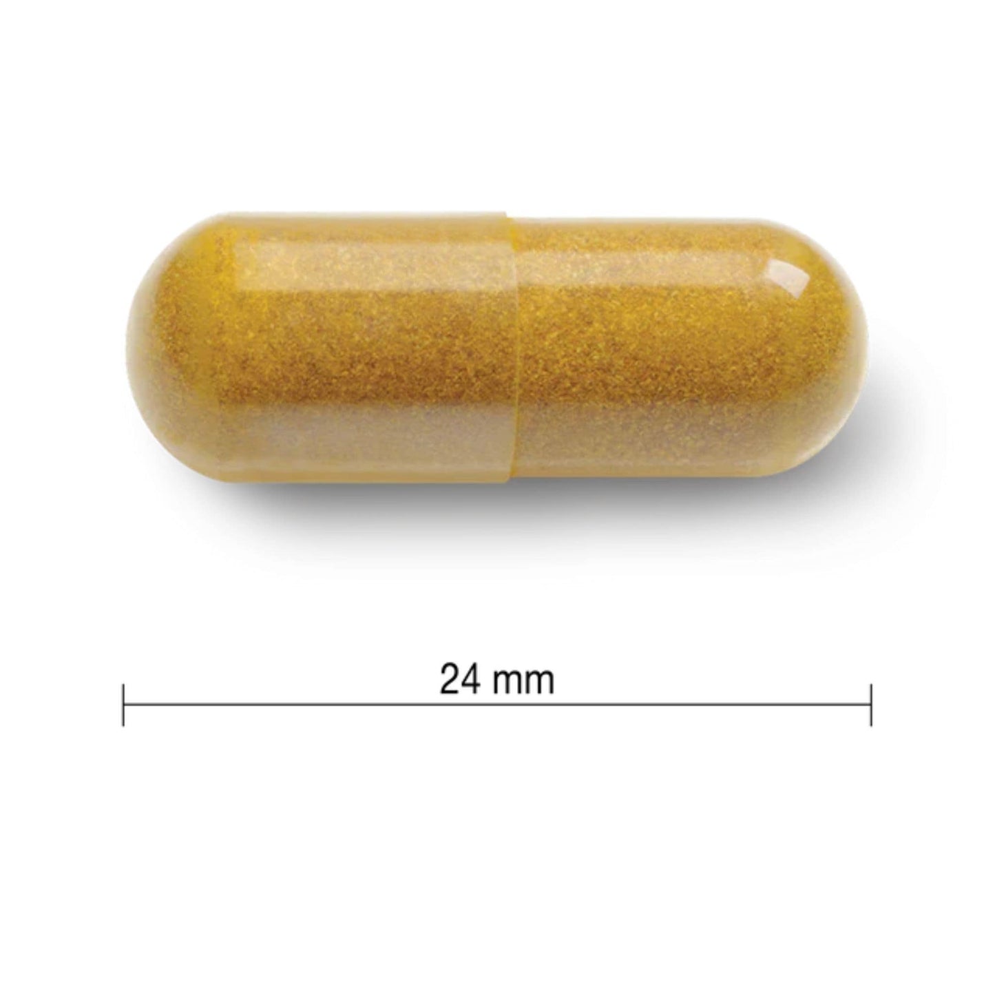 60 Vegetarian Capsules | Jamieson Curcumin Turmeric 550 mg