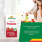 Natural Strawberry Flavour, 60 Chewable Tablets | Jamieson Chewable Probiotic