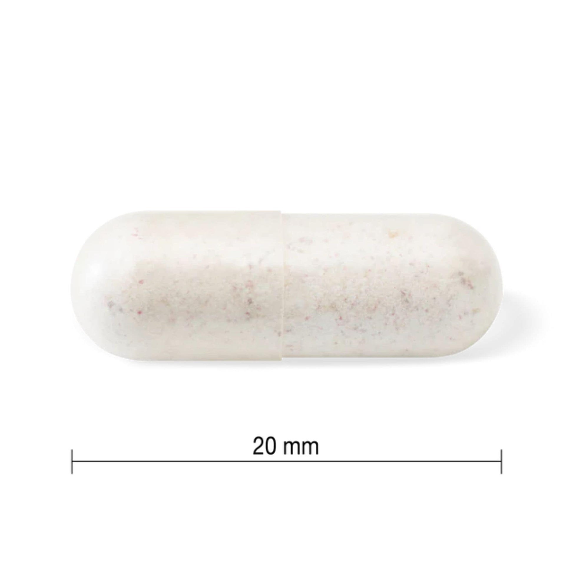 60 Vegetarian Capsules | Jamieson Probiotic Daily Maintenance, 10 Billion Active Cells, 14 Unique Strains