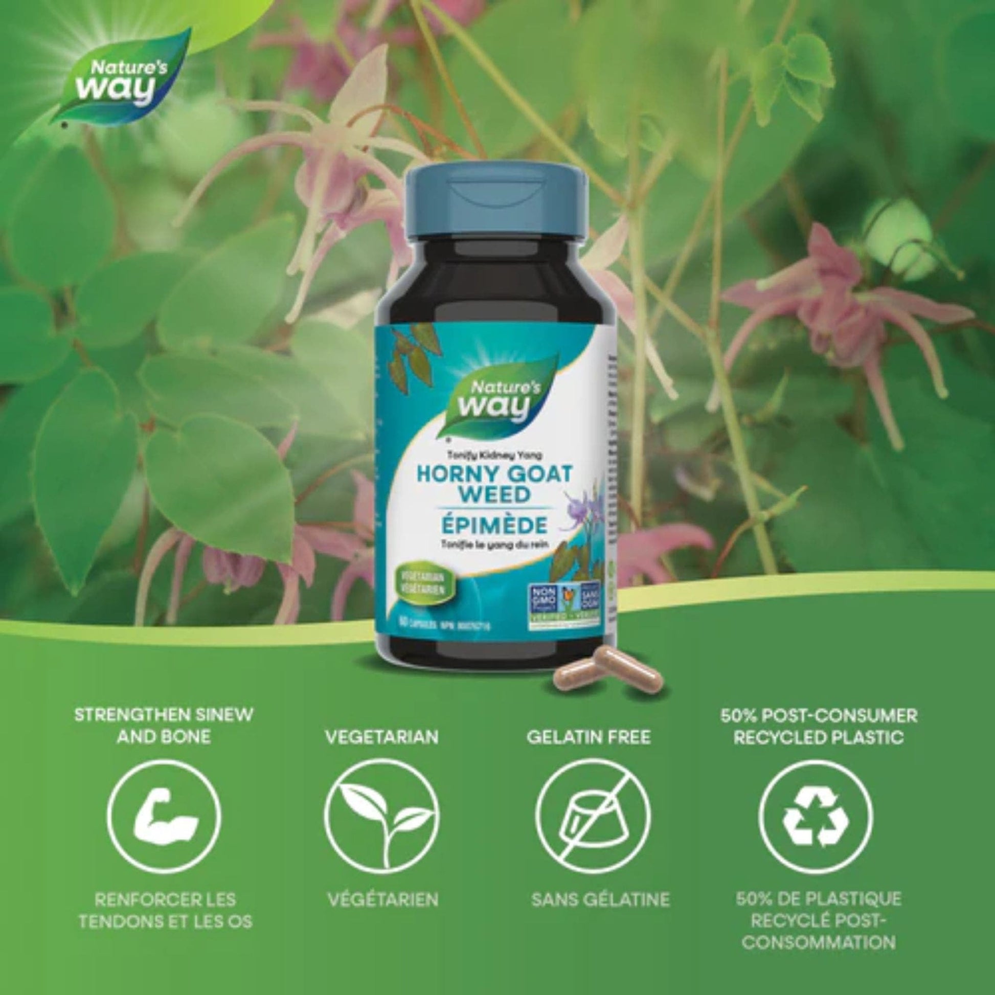 60 Vegetarian Capsules | Nature's Way Horny Goat Weed