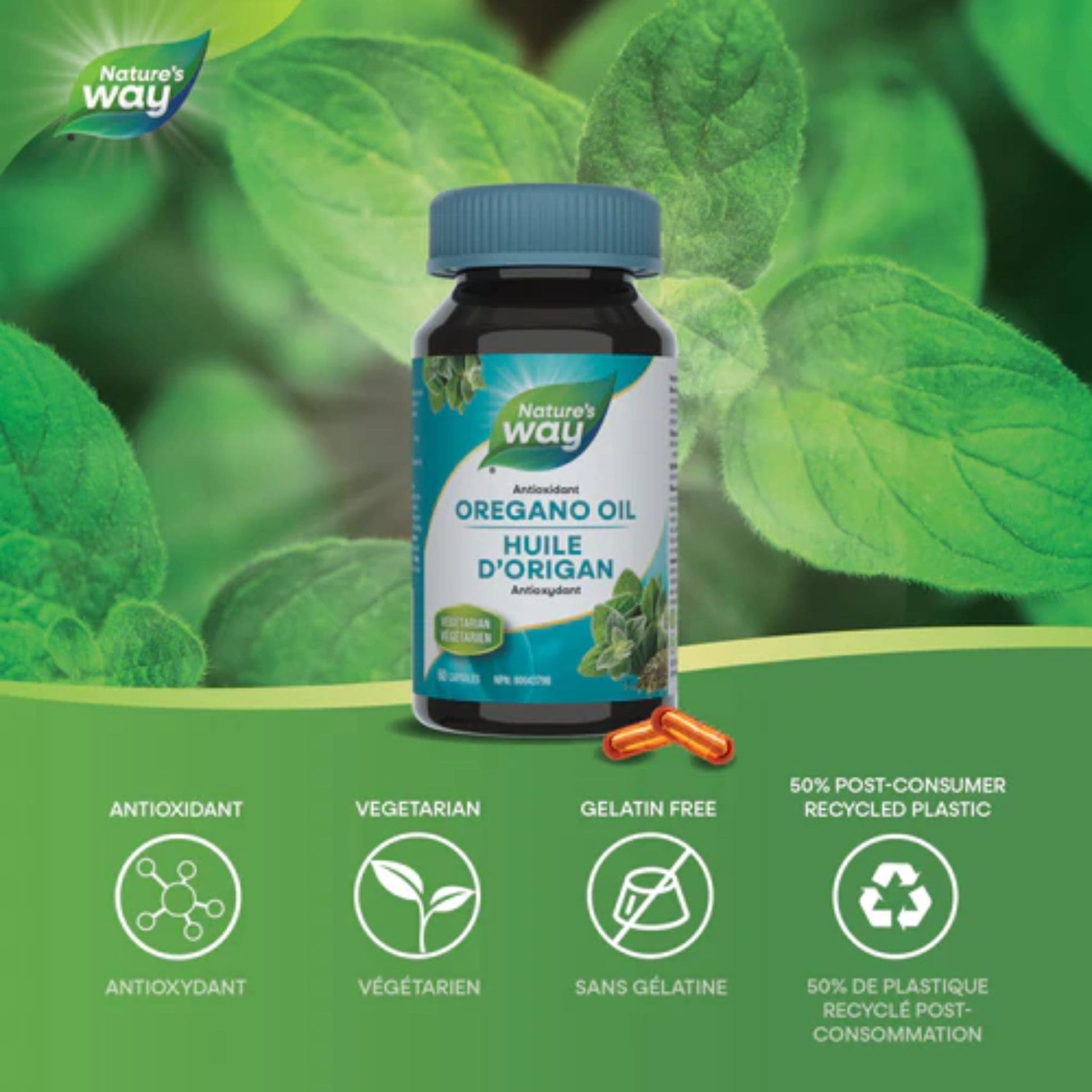 60 Vegetarian Capsules | Nature's Way Oregano Oil, Standardized Extract
