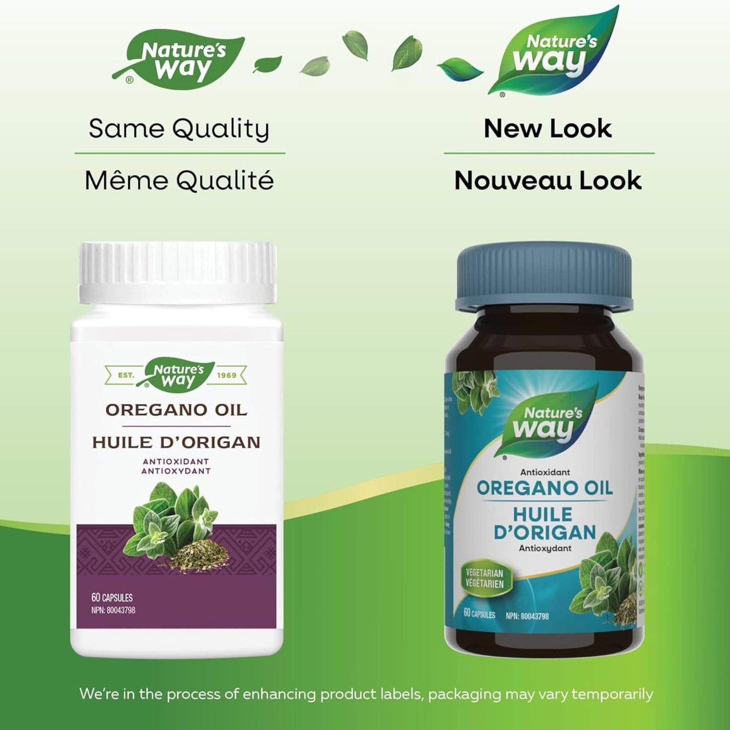 60 Vegetarian Capsules | Nature's Way Oregano Oil, Standardized Extract