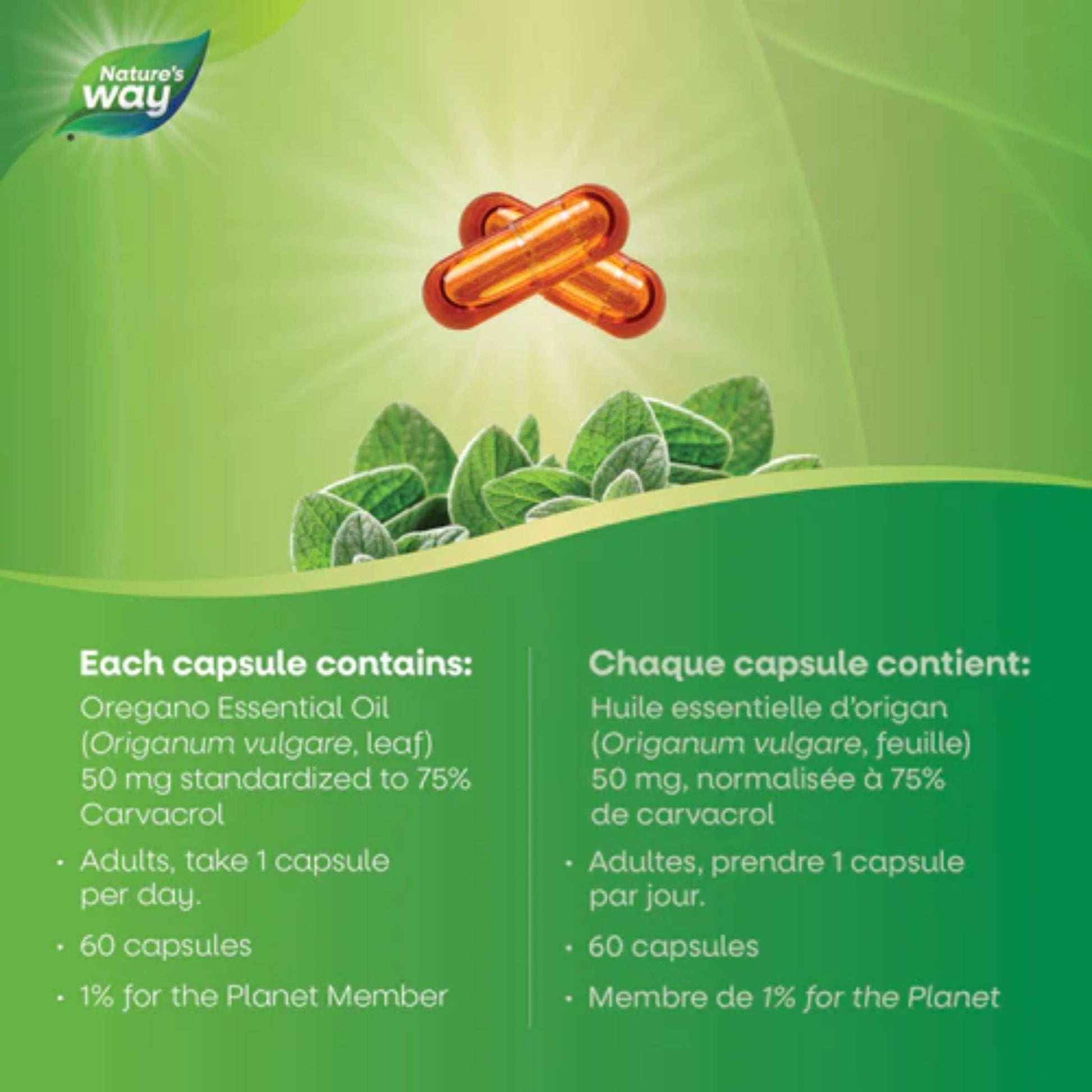 60 Vegetarian Capsules | Nature's Way Oregano Oil, Standardized Extract