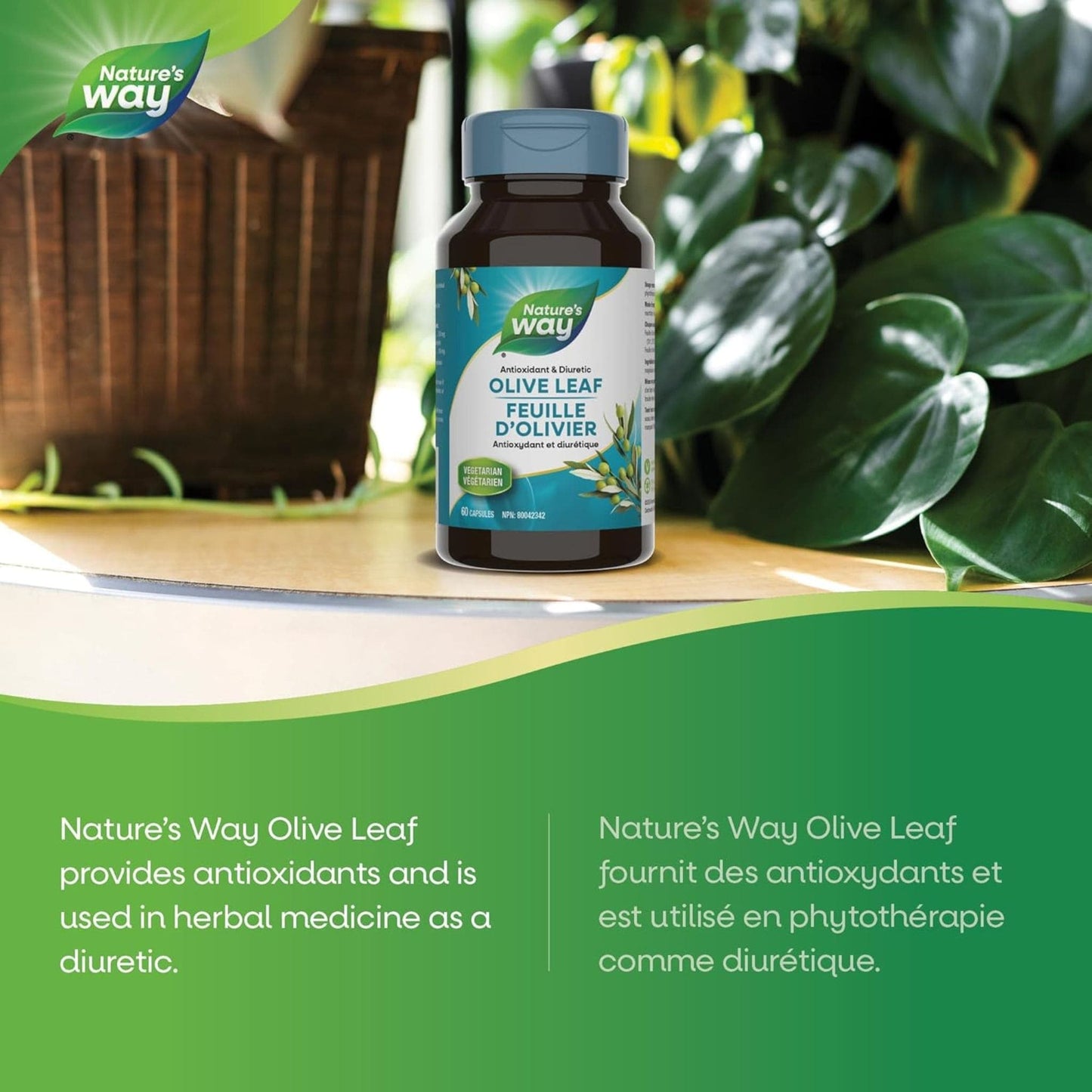 100 Vegetable Capsules | Natures's Way Olive Leaf